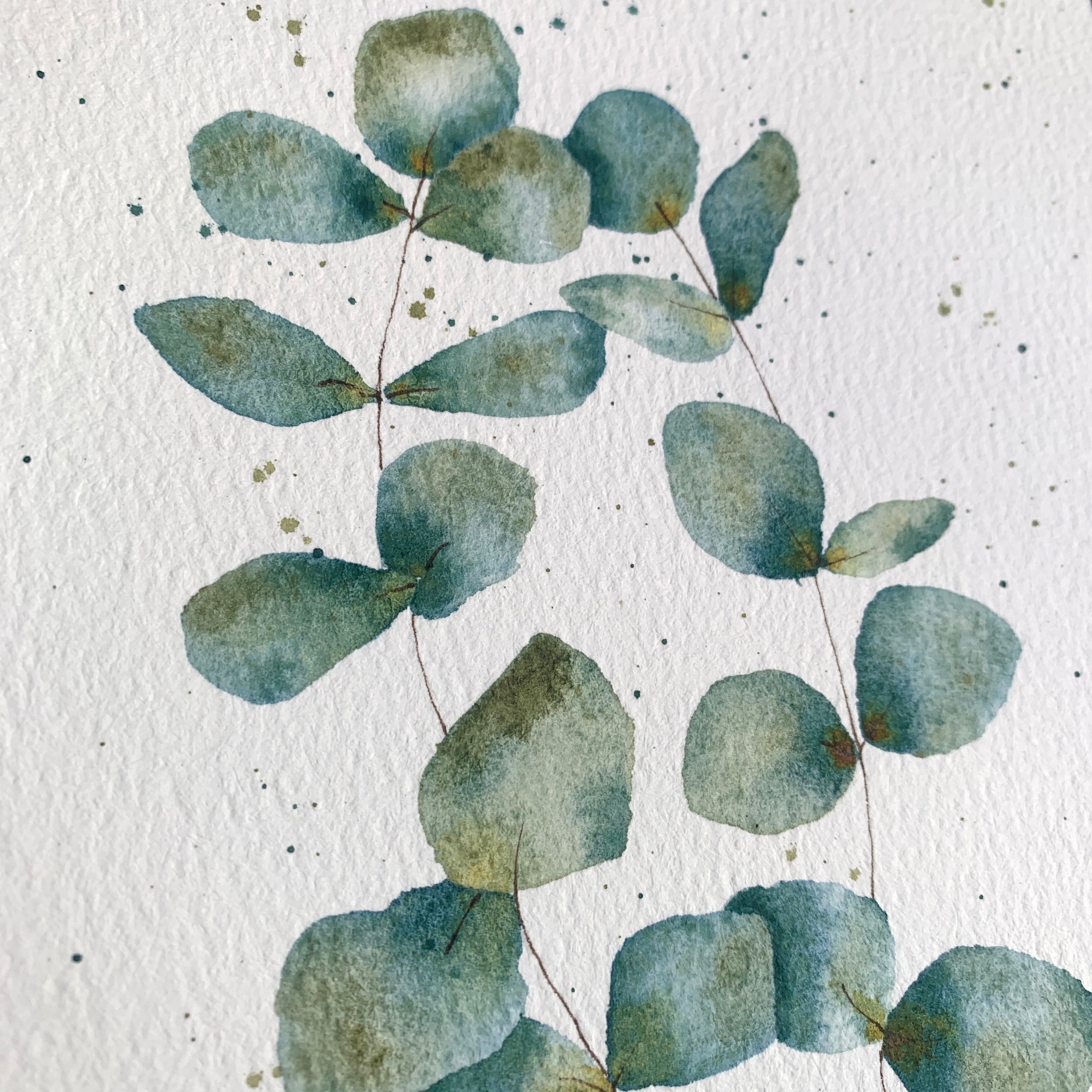 Original Hand-painted Watercolour Artwork - "Silver Dollar" - 5x7"