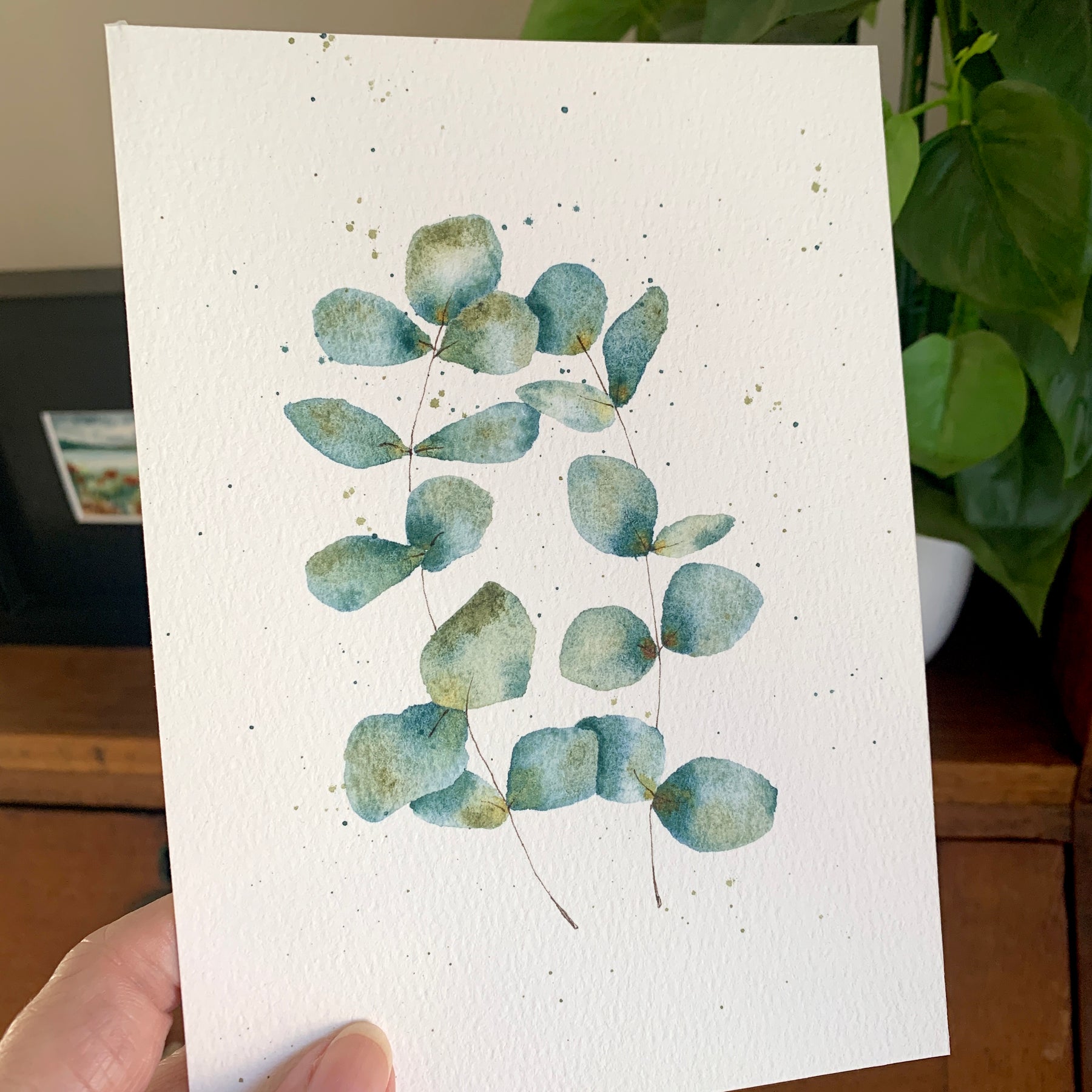 Original Hand-painted Watercolour Artwork - "Silver Dollar" - 5x7"