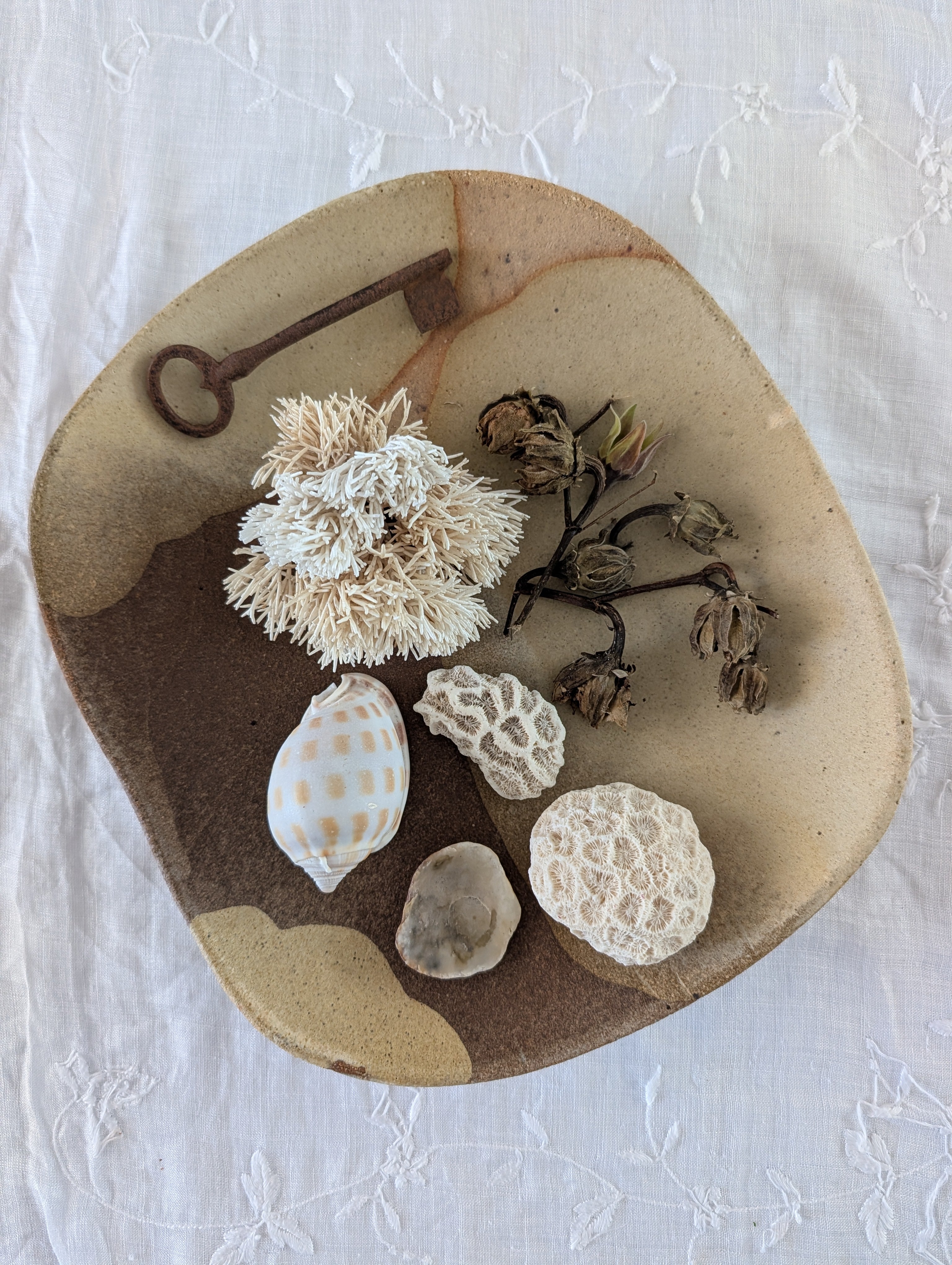 All-Day bowl | earthy • functional • everyday