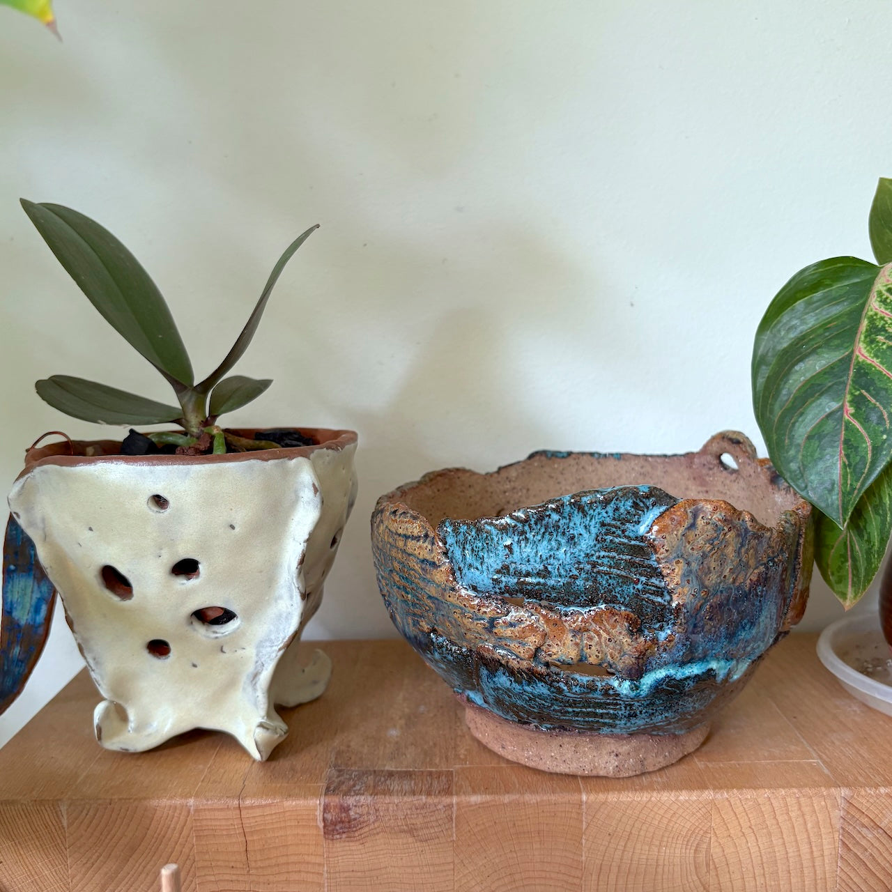 Ceramic orchid pot – torn design