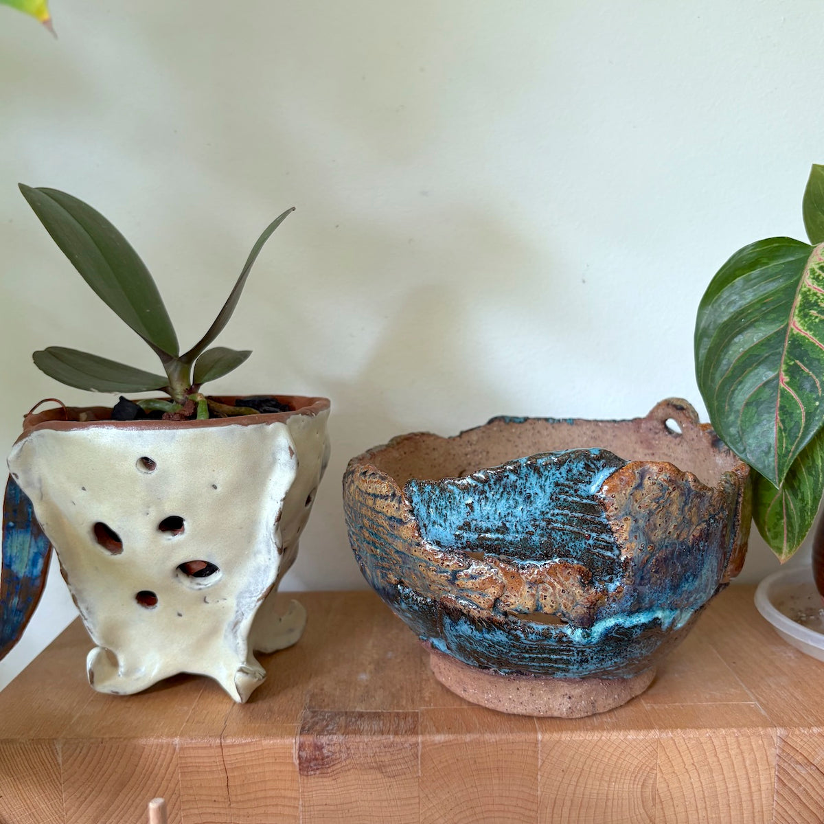 Ceramic orchid pot – torn design