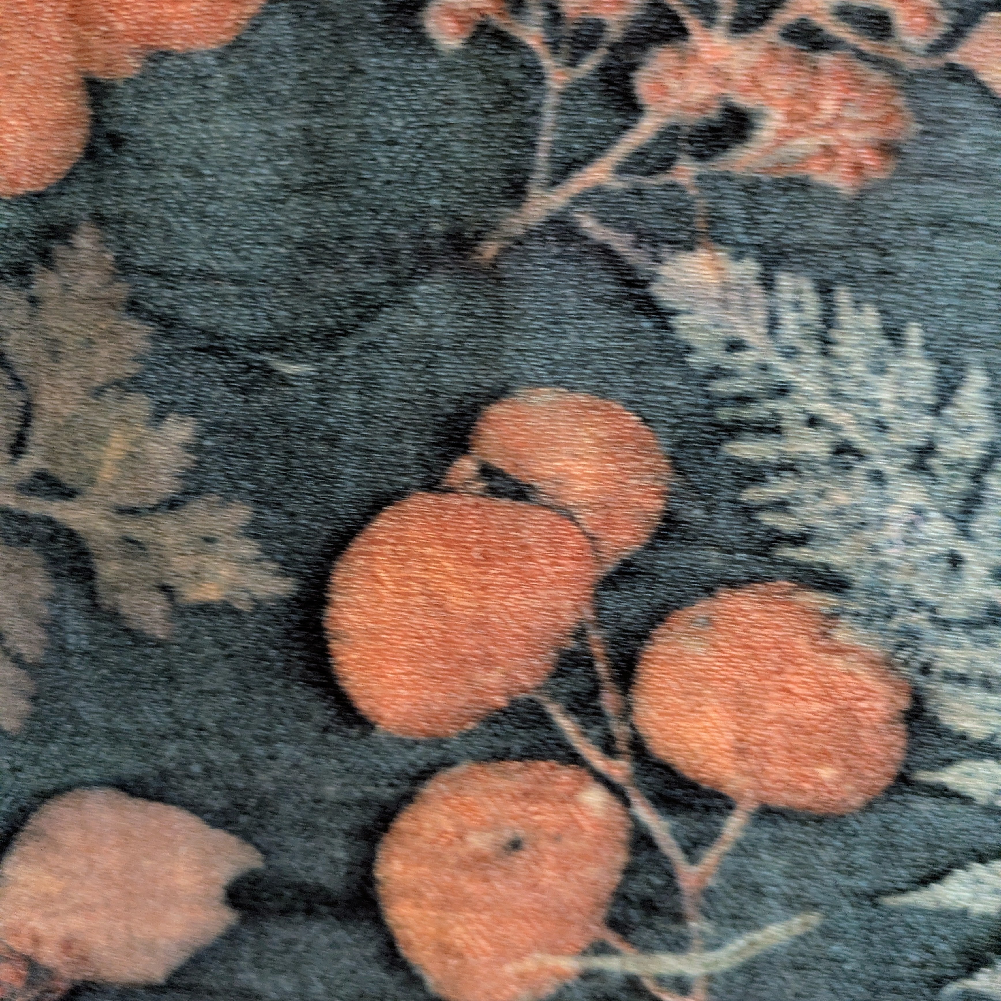 Pure wool botanical contact print scarf