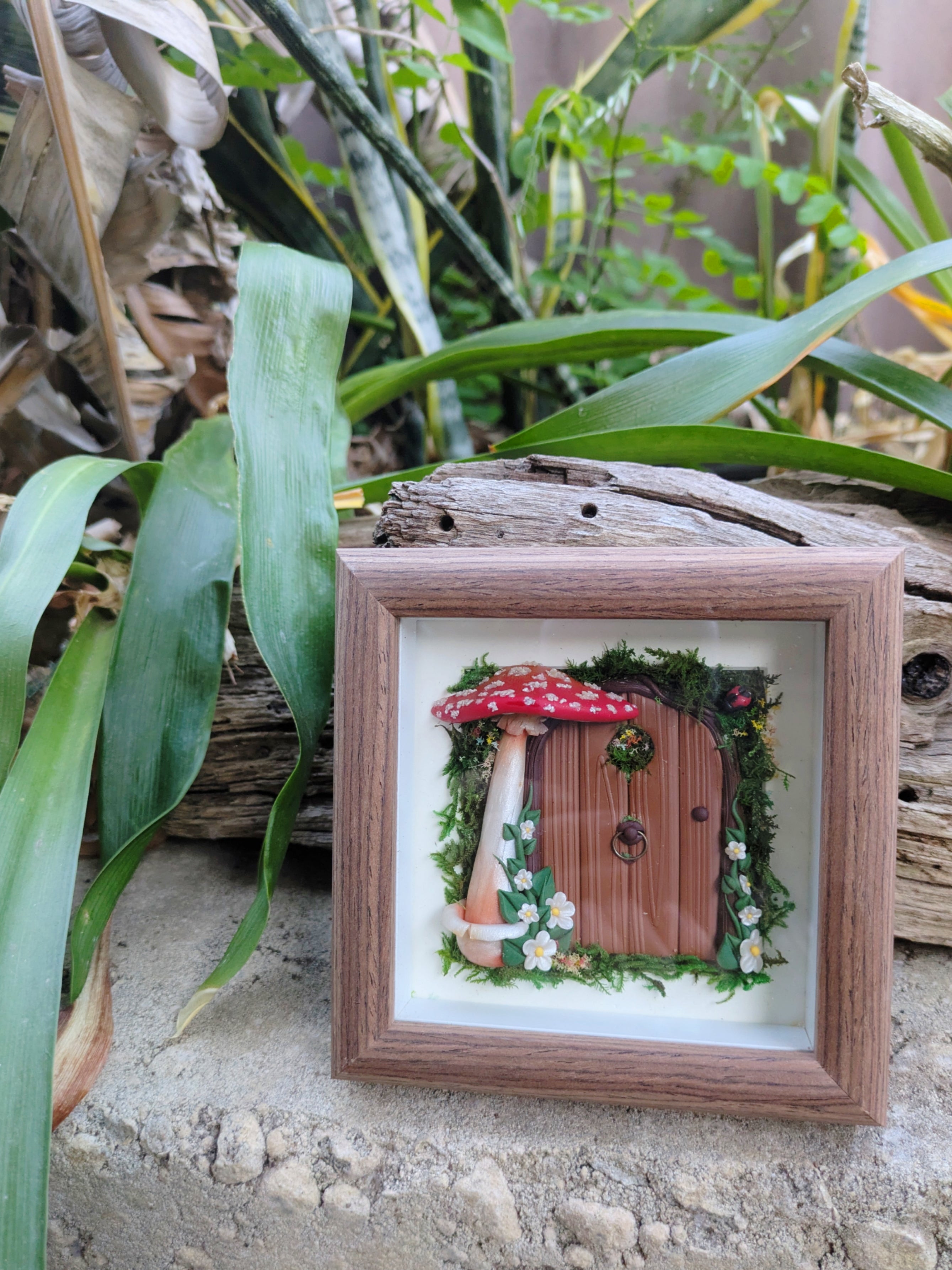Enchanted Fairy Door displayed in a Shadow Box