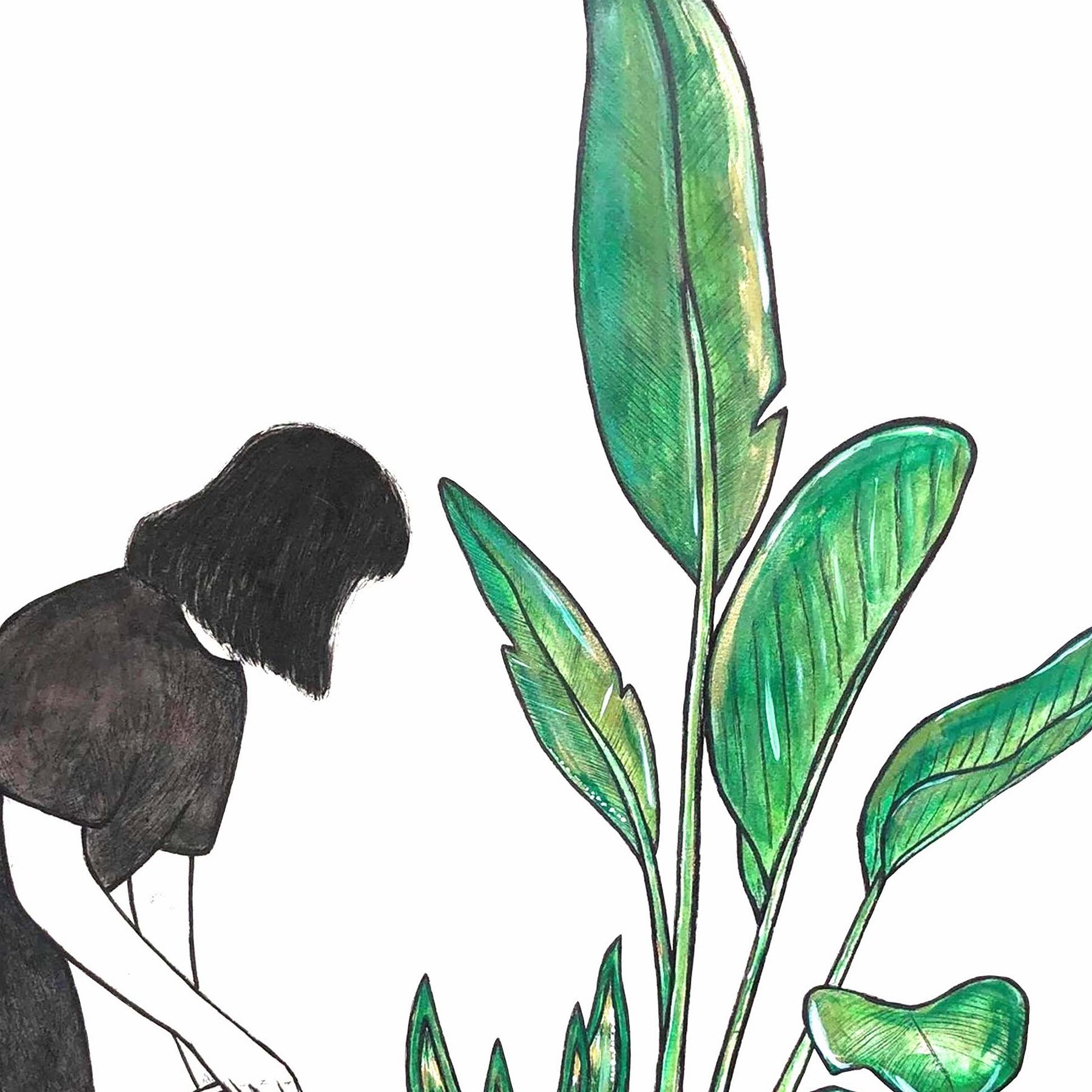 Garden Forager Giclee Print