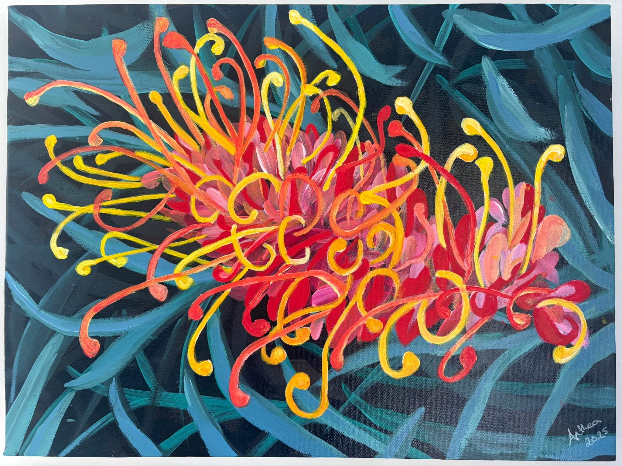 Sweet Grevillea - Original Acrylic Painting Australian Native Grevillea