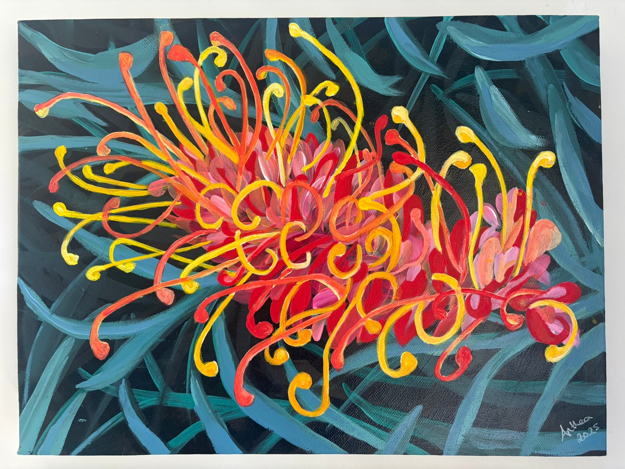 Sweet Grevillea - Original Acrylic Painting Australian Native Grevillea