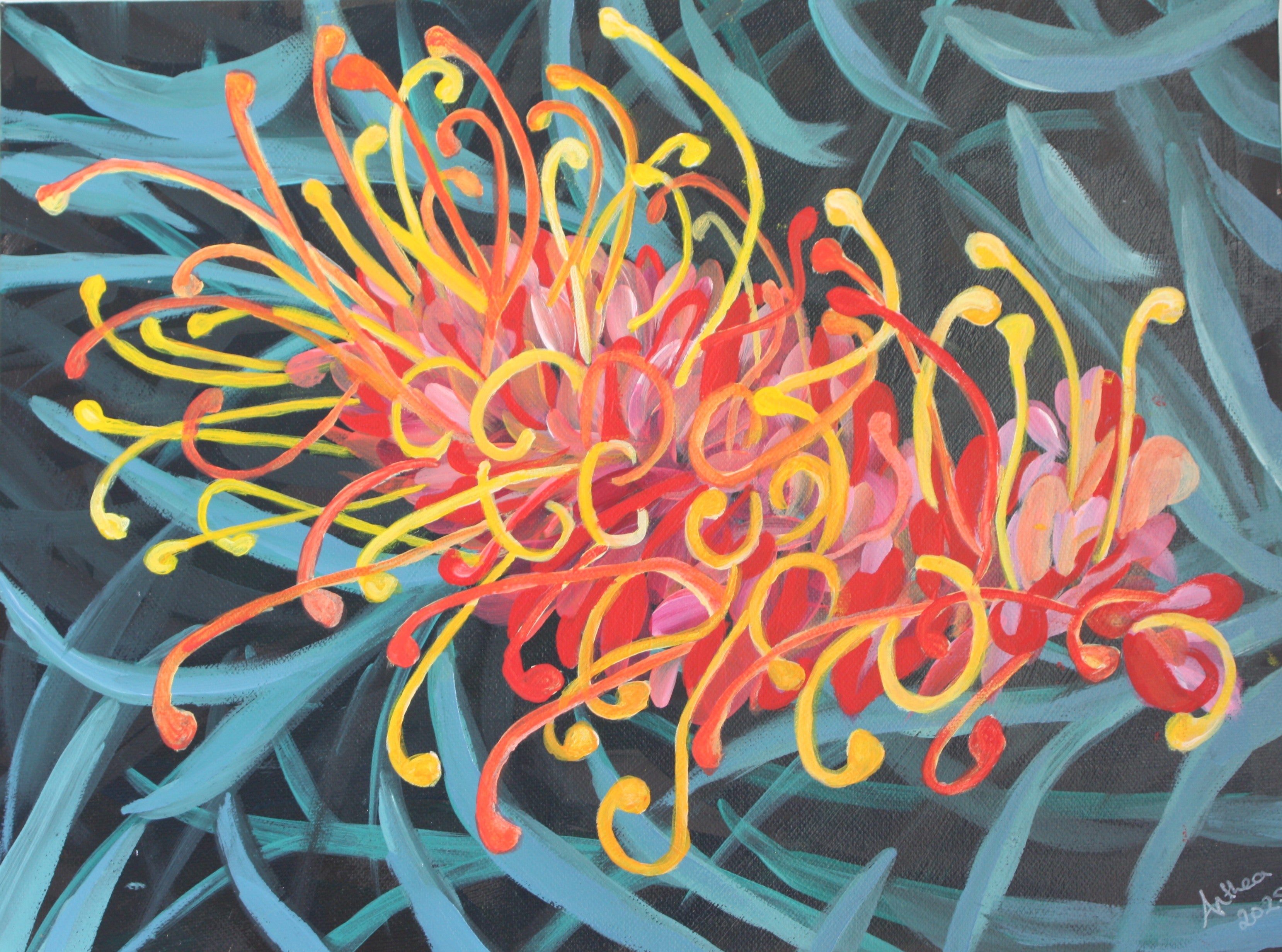 Sweet Grevillea - Original Acrylic Painting Australian Native Grevillea