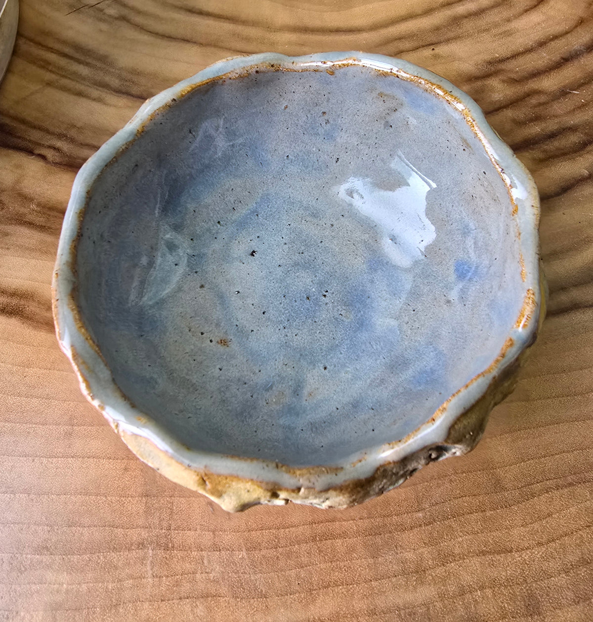 Little Sea Urchin bowl