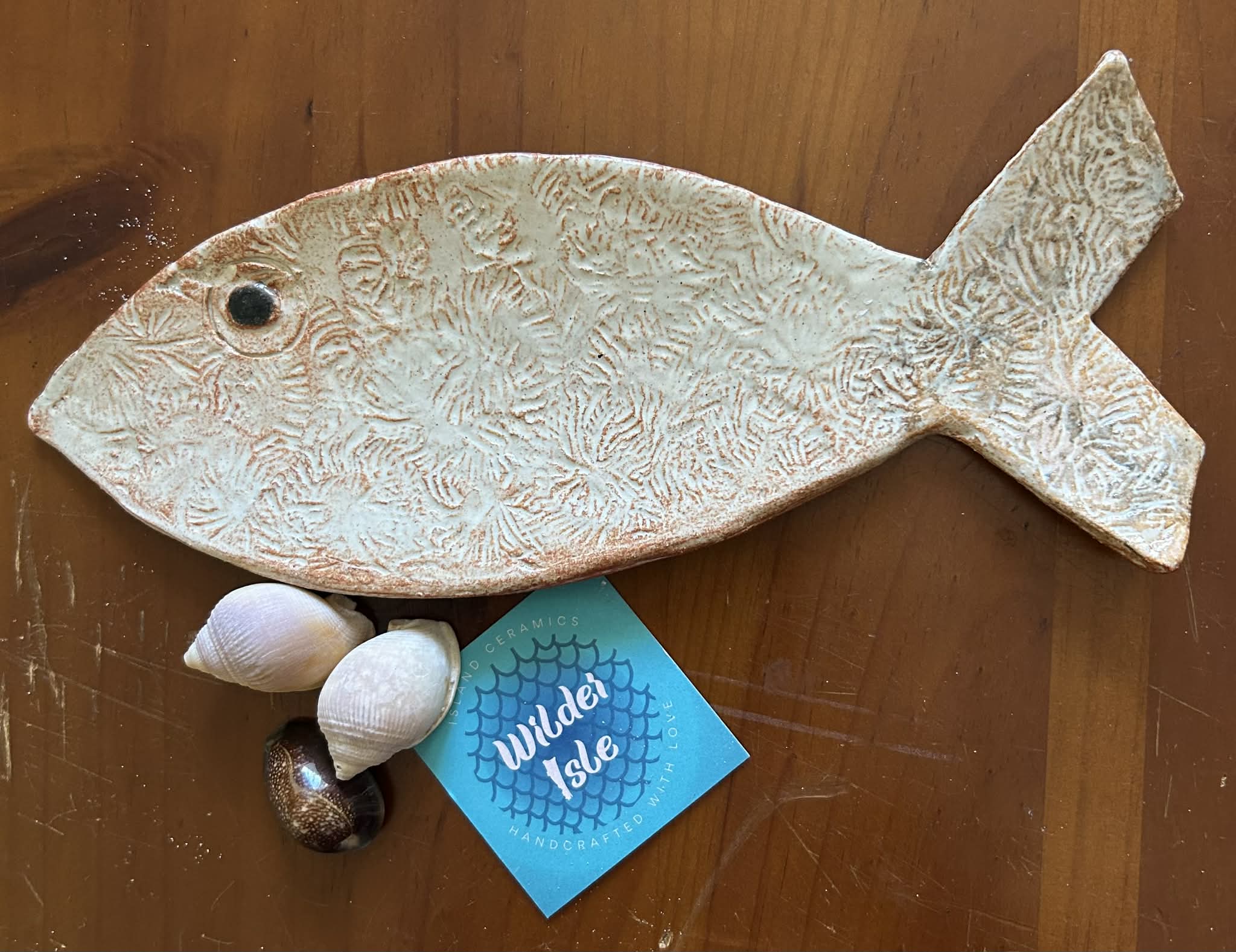 Creamy Coral Spoonfish