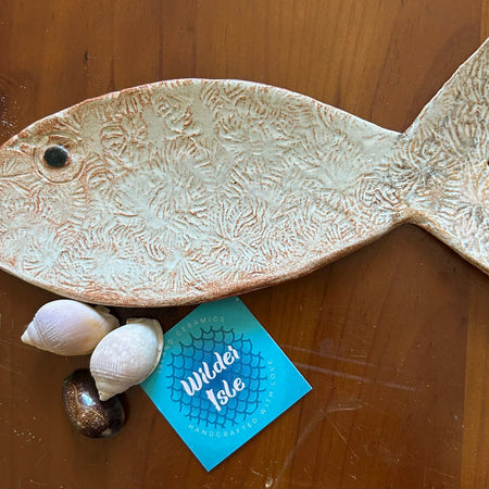 Creamy Coral Spoonfish