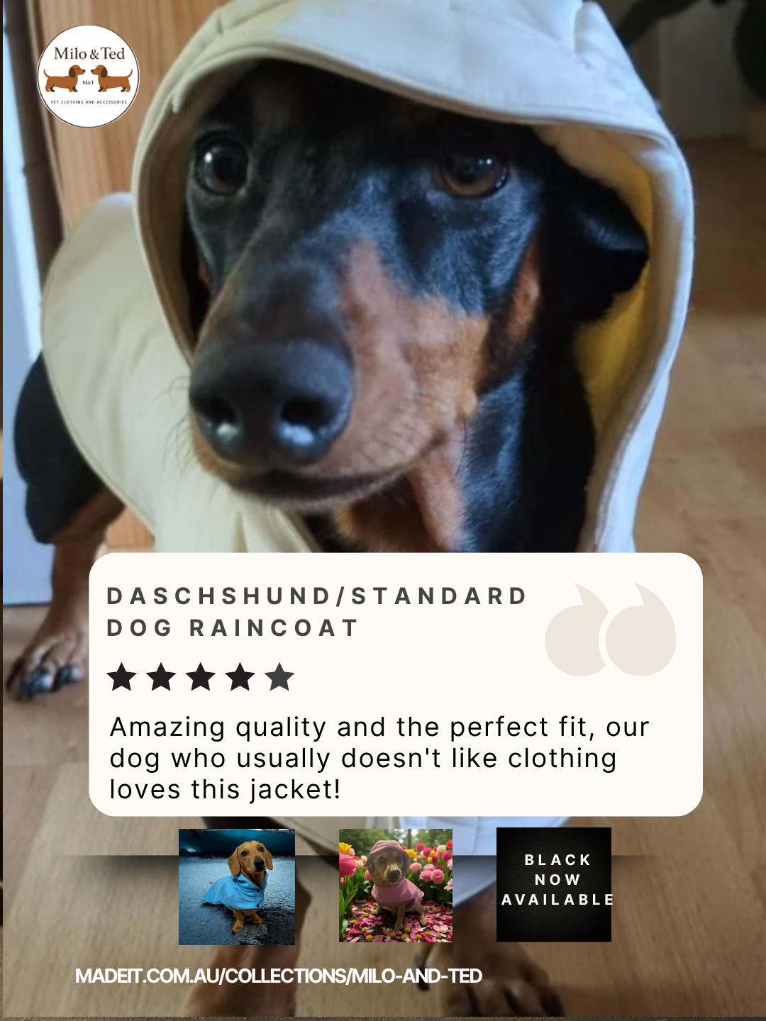 Dachshund dog raincoat for Puppy. Handmade Pet clothing/costume