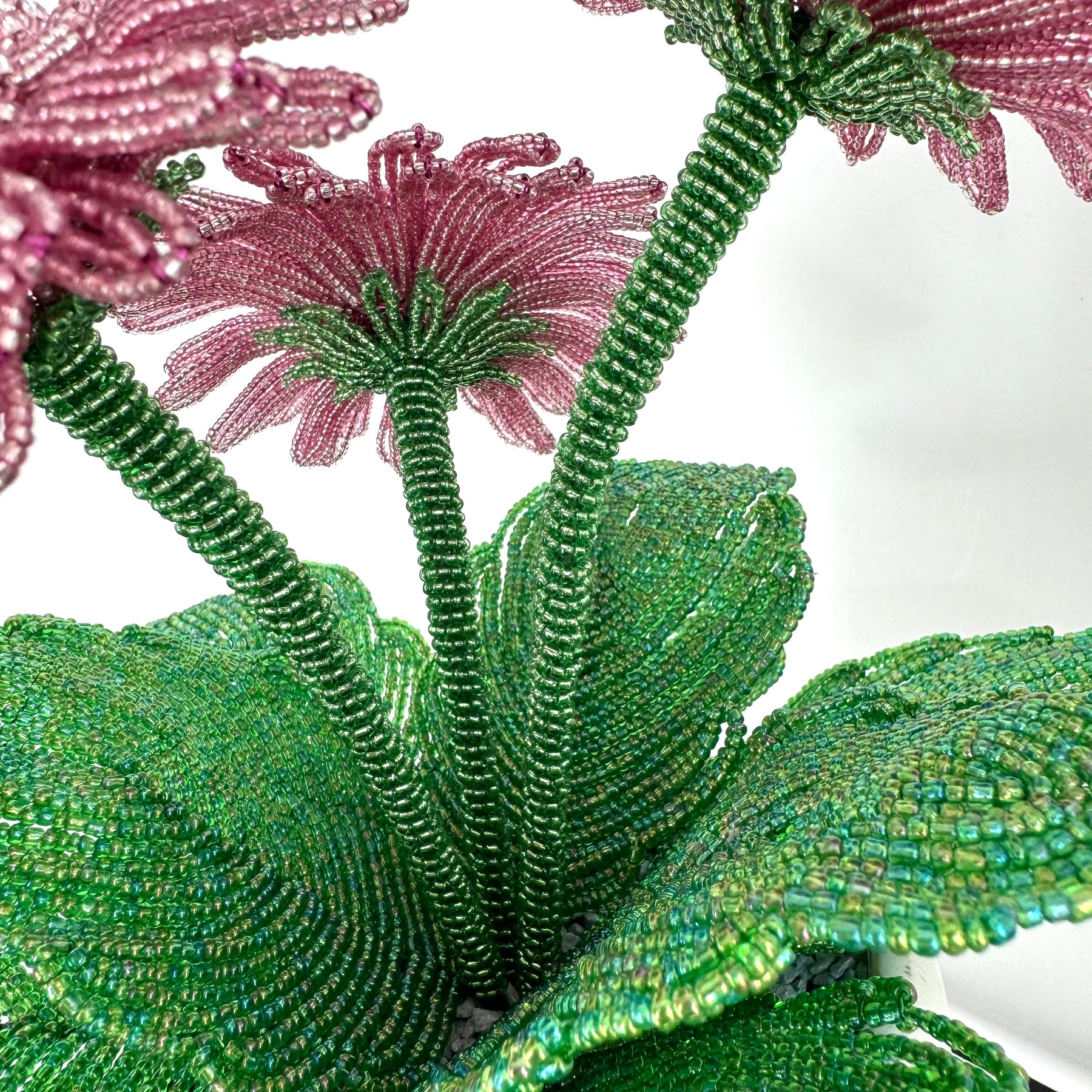 French-beaded potted Gerbera Daisy