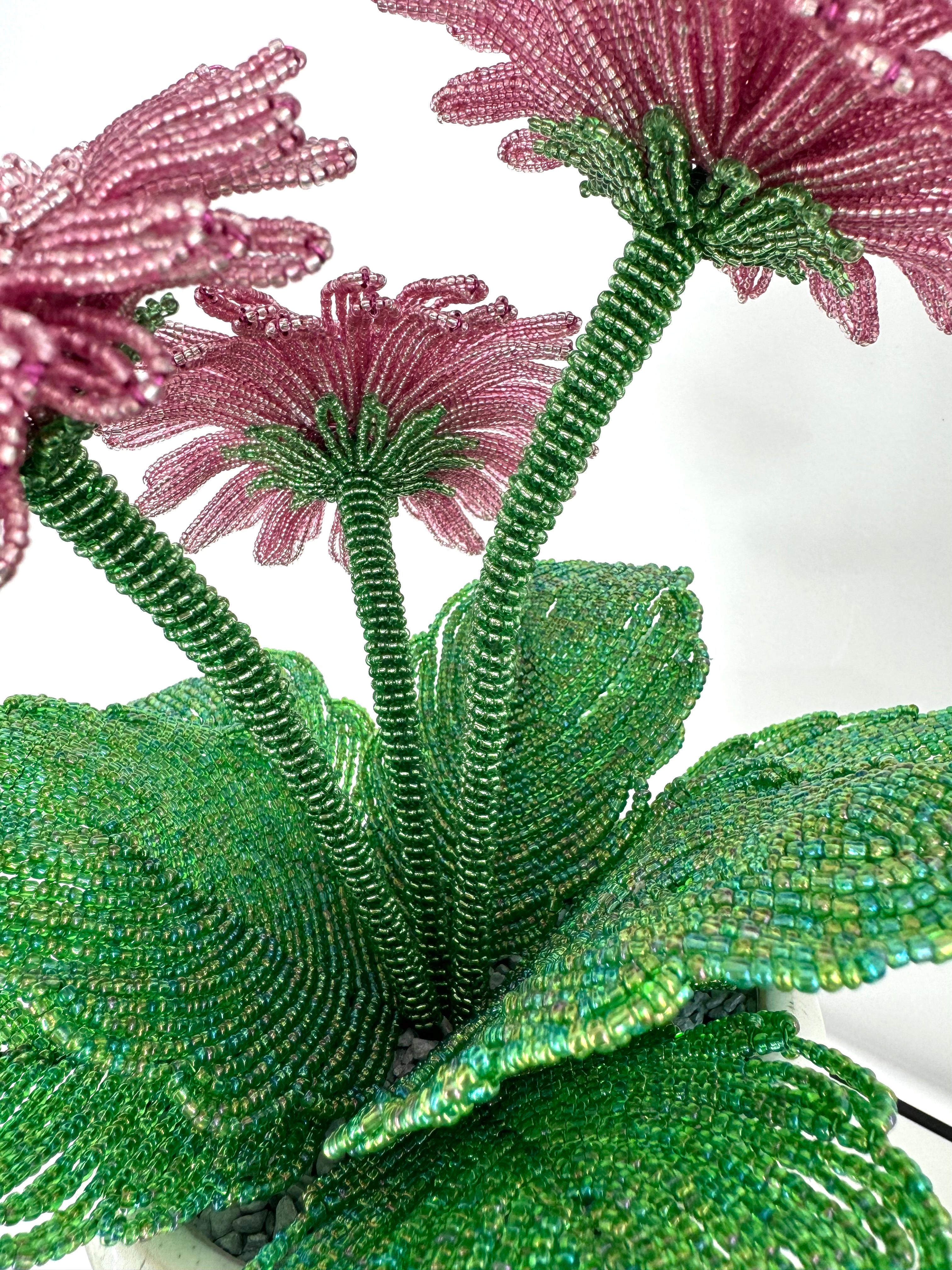 French-beaded potted Gerbera Daisy