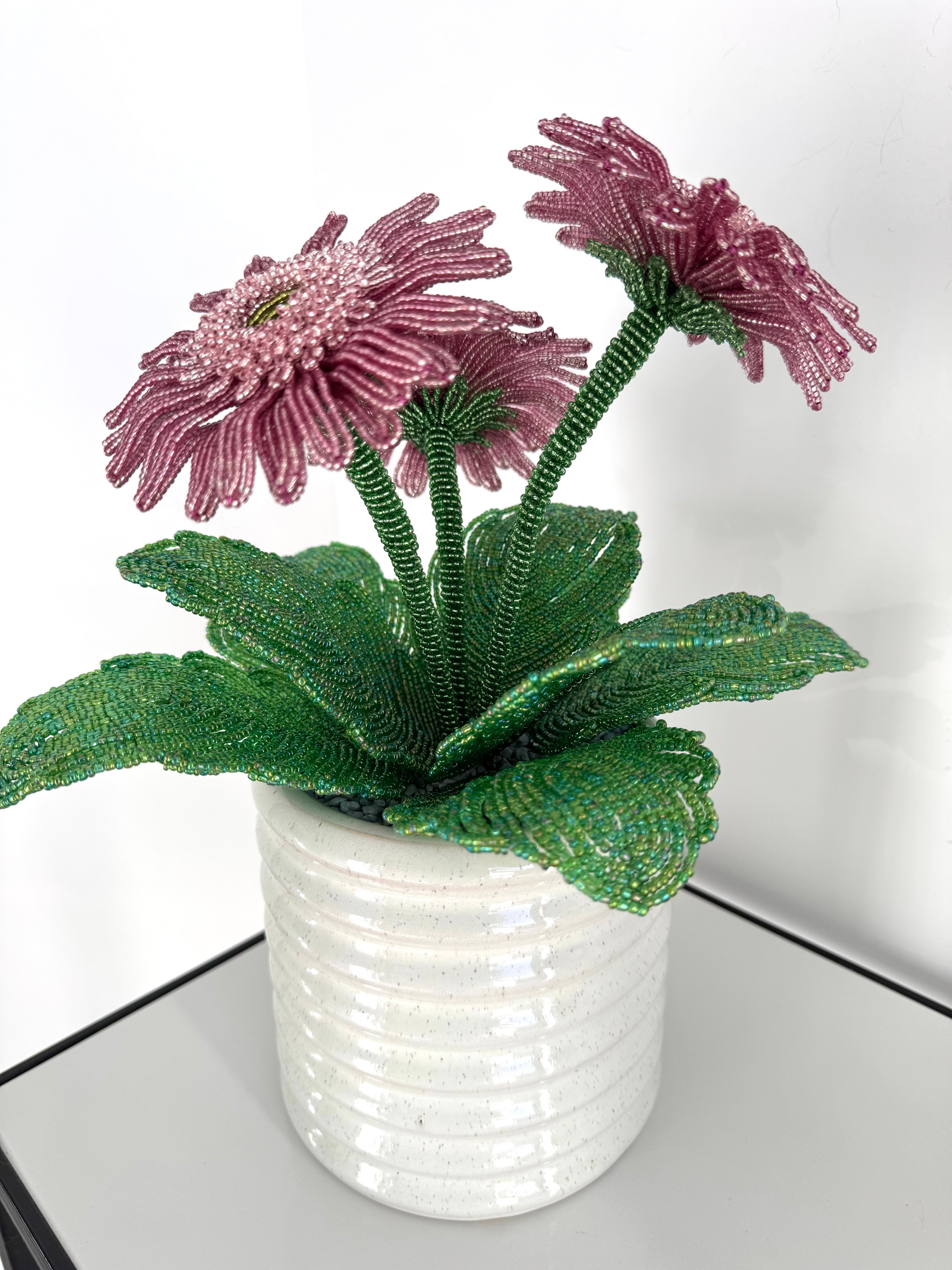 French-beaded potted Gerbera Daisy