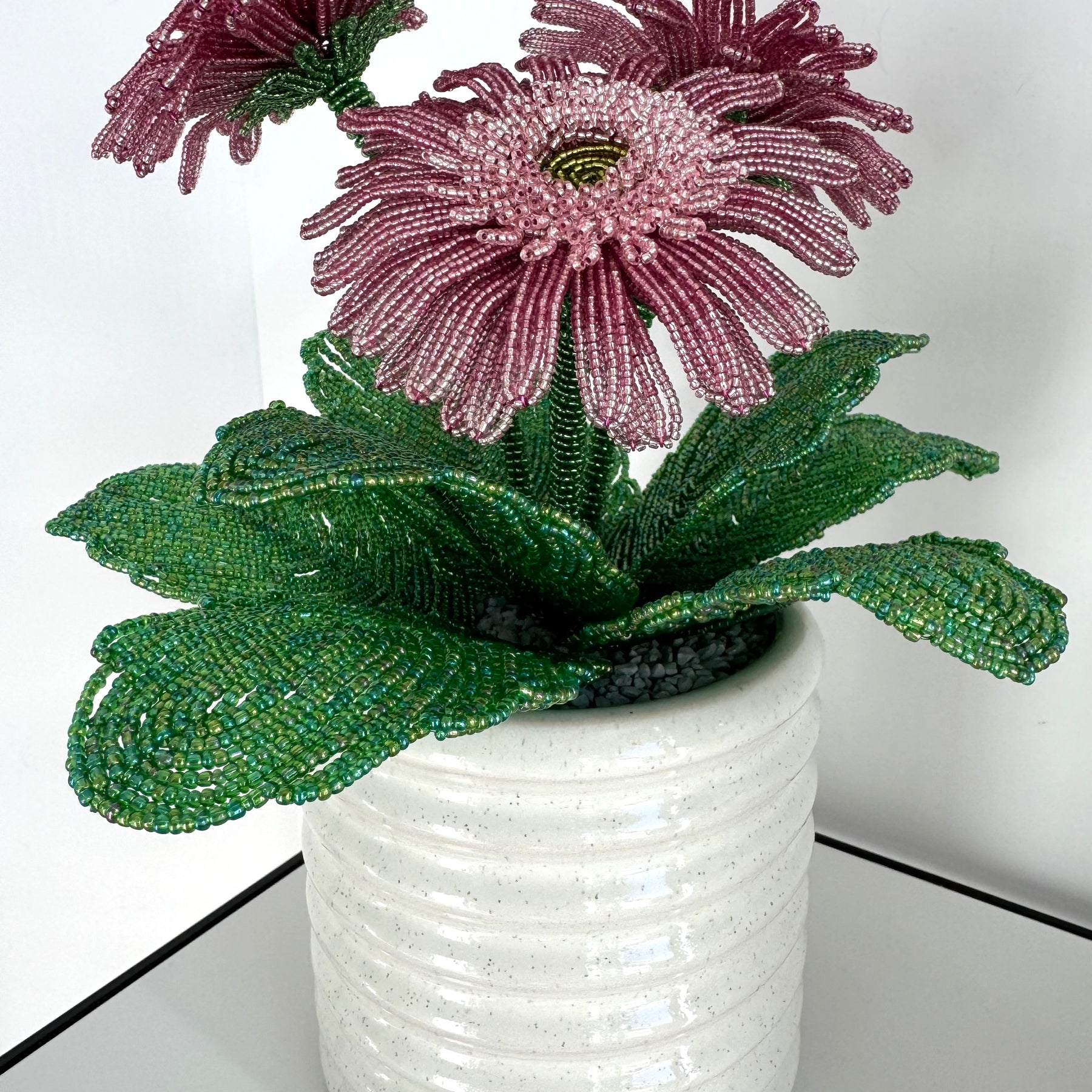 French-beaded potted Gerbera Daisy