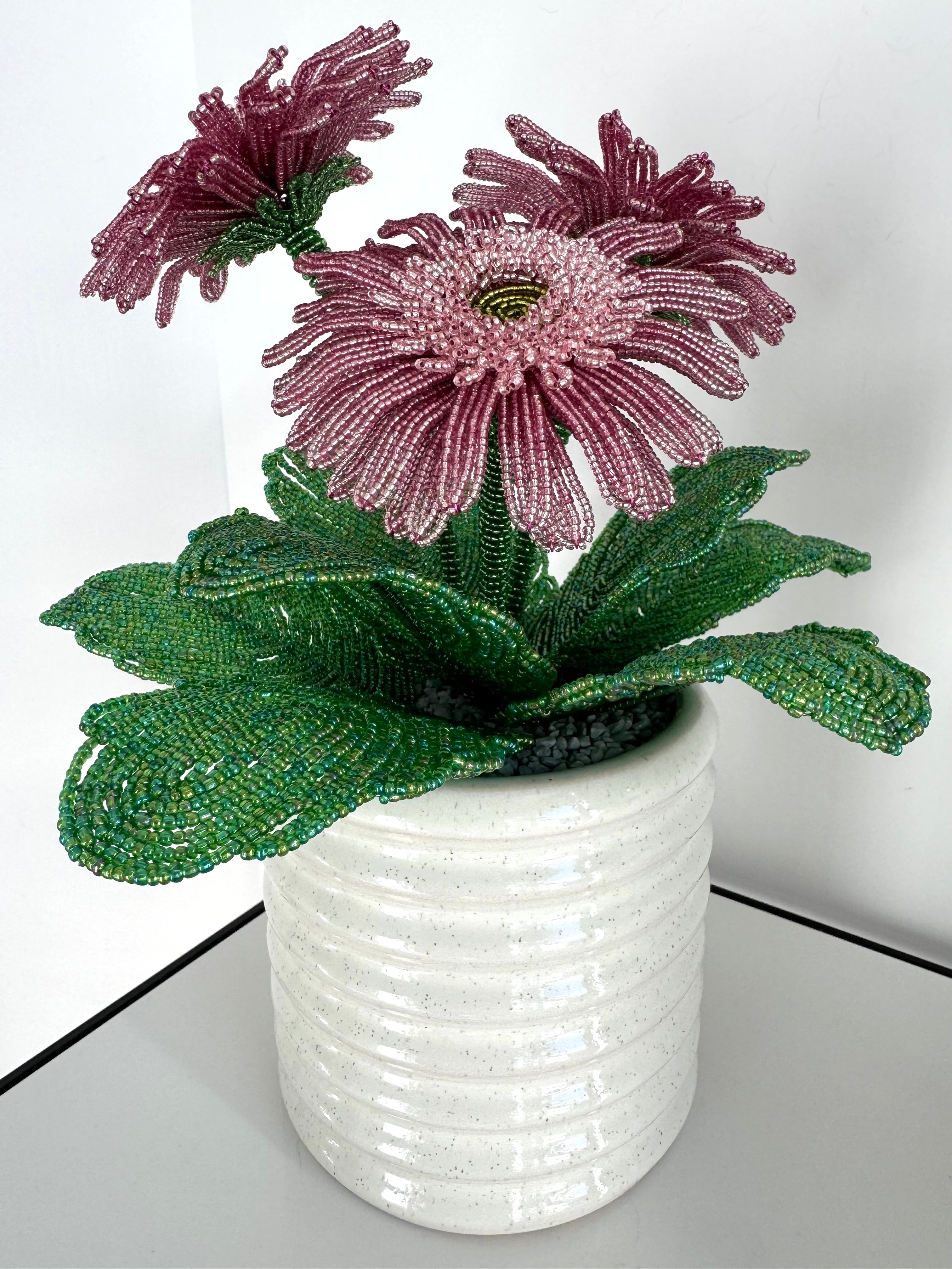 French-beaded potted Gerbera Daisy