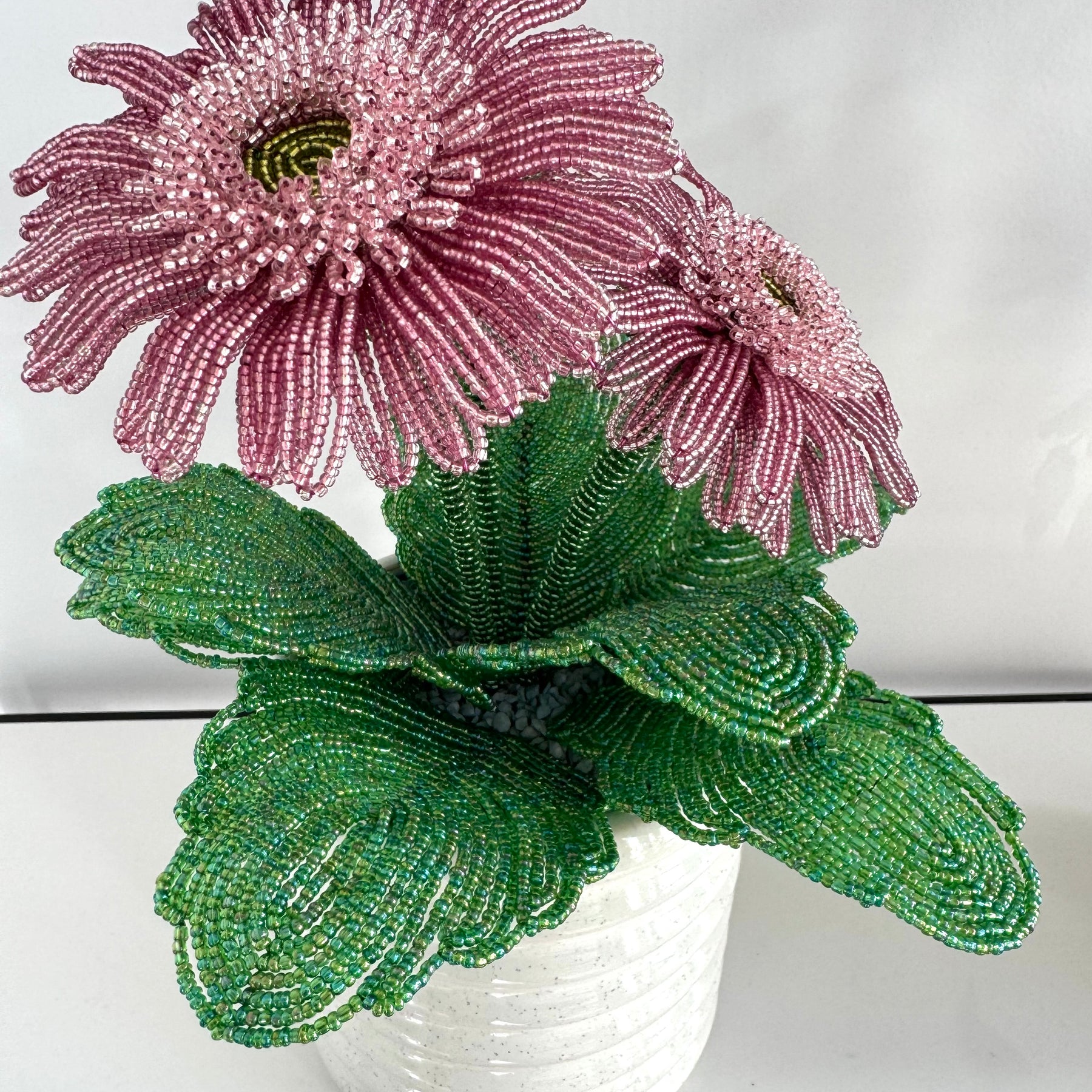 French-beaded potted Gerbera Daisy