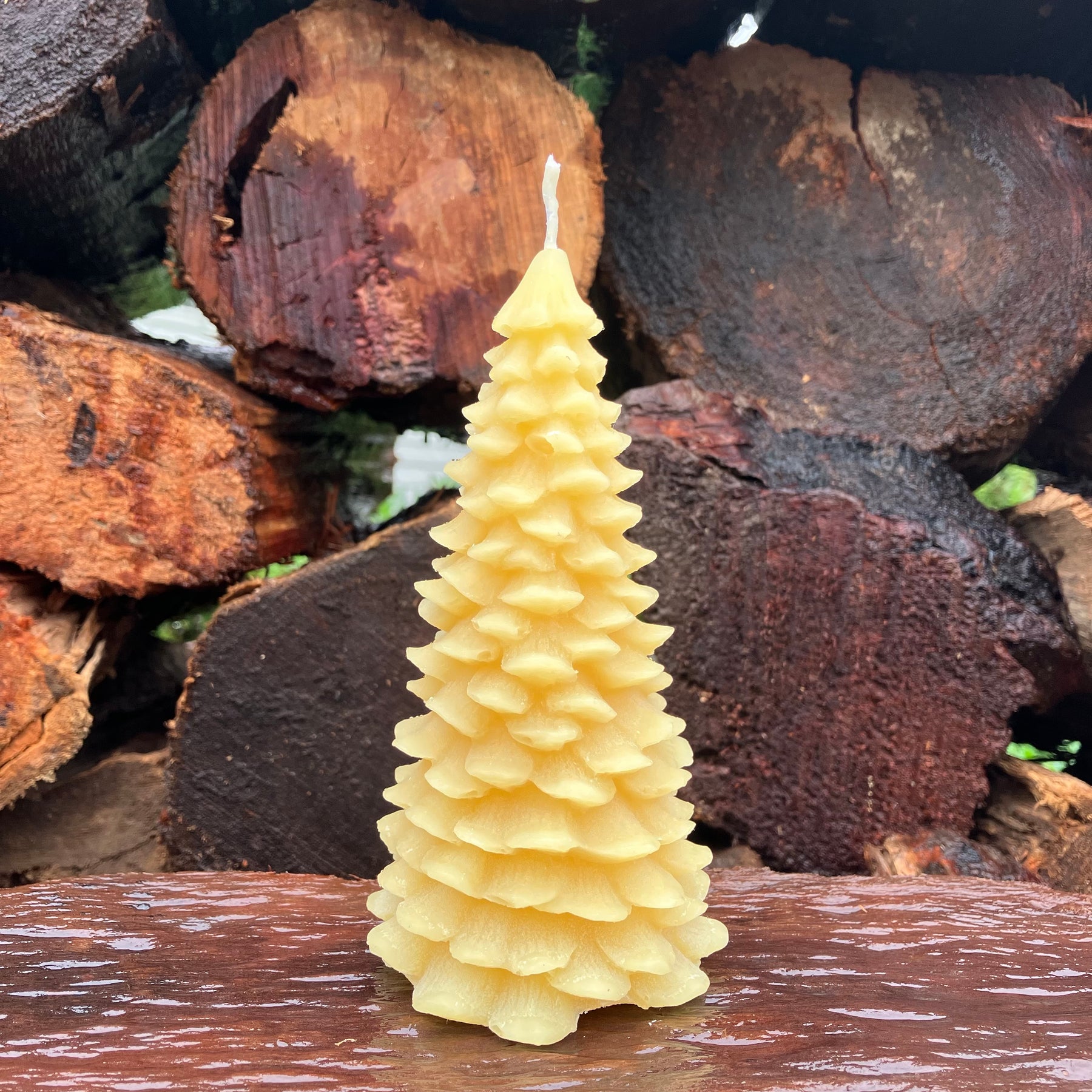 Beeswax Christmas Candles