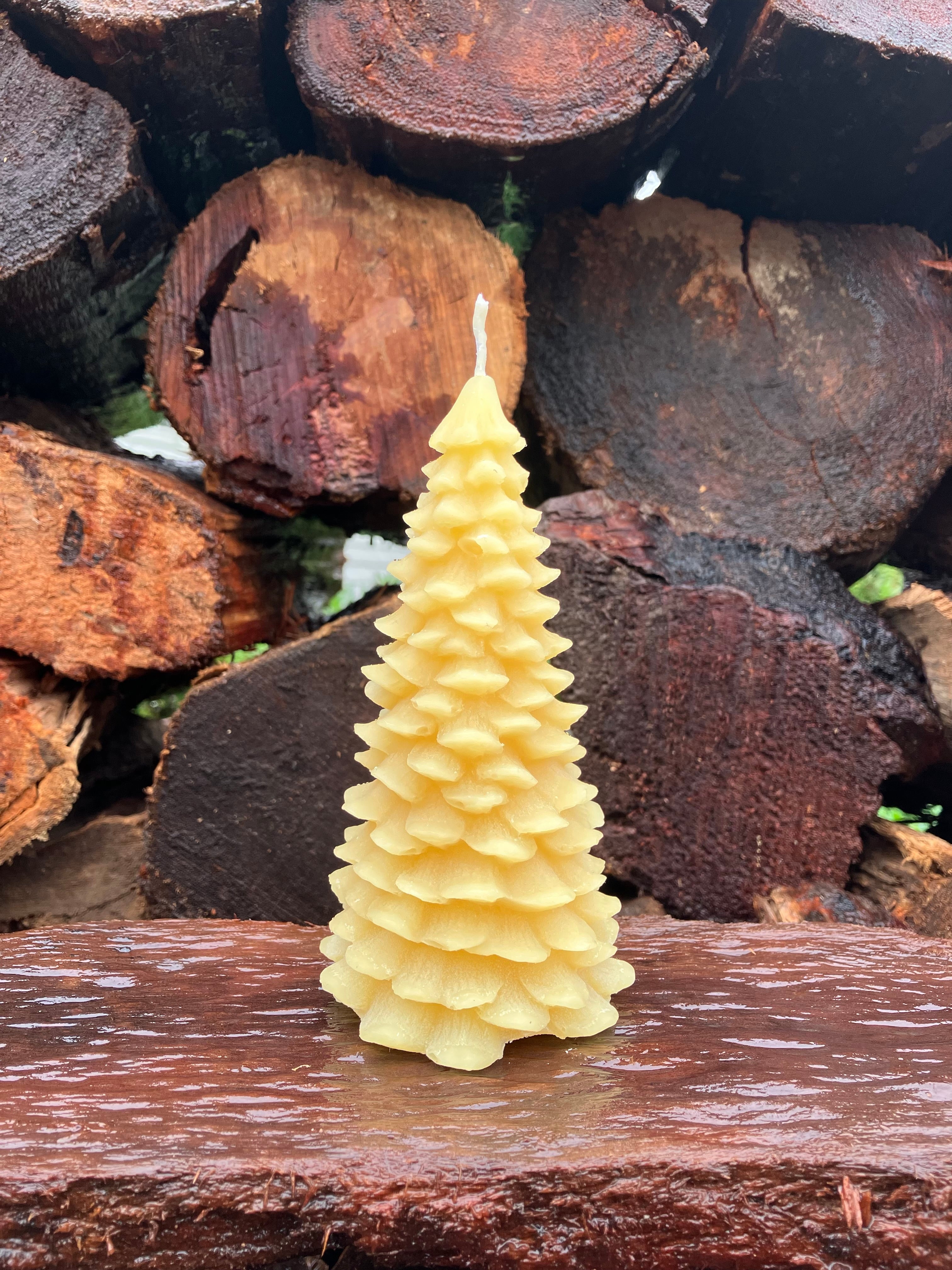 Beeswax Christmas Candles