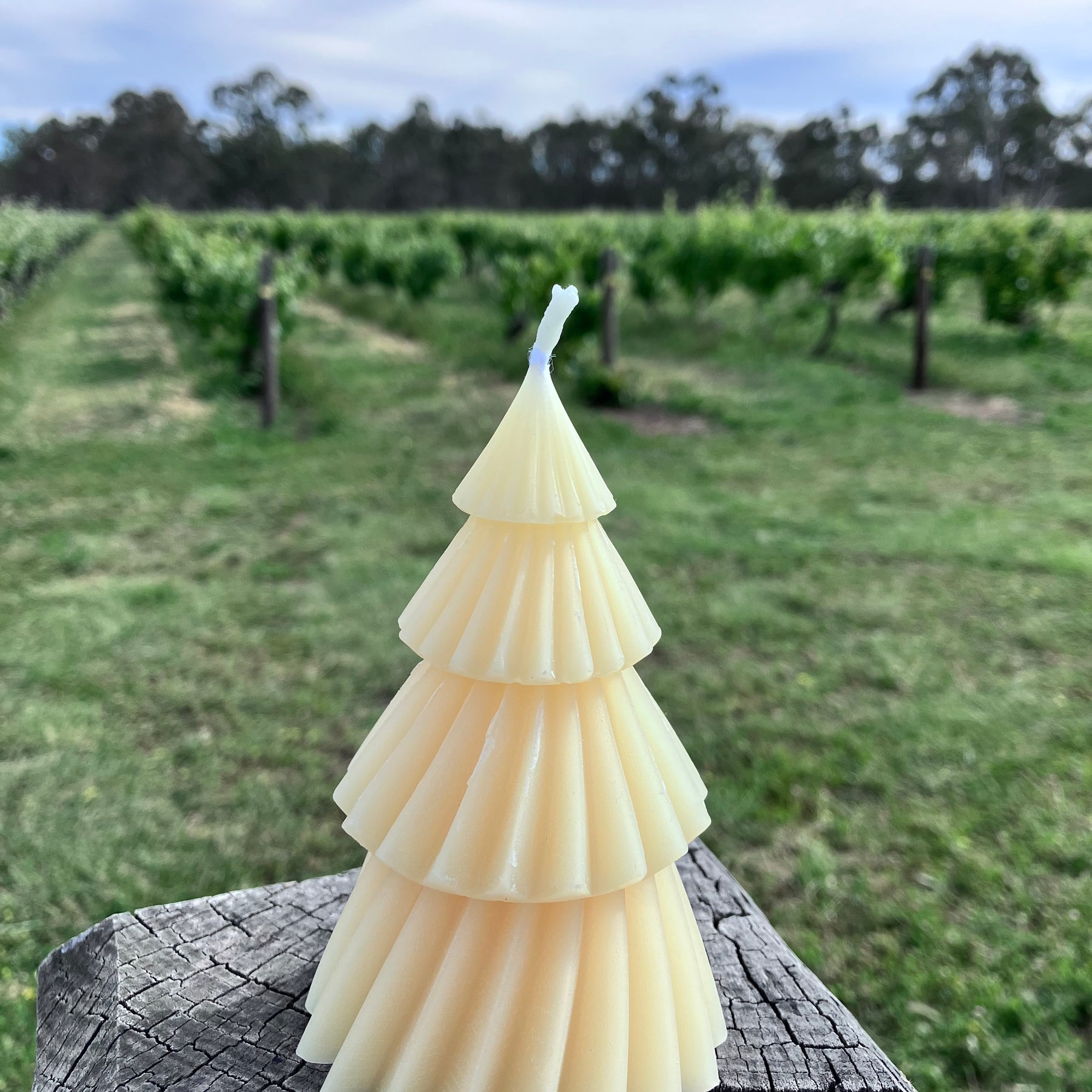 Beeswax Christmas Candles