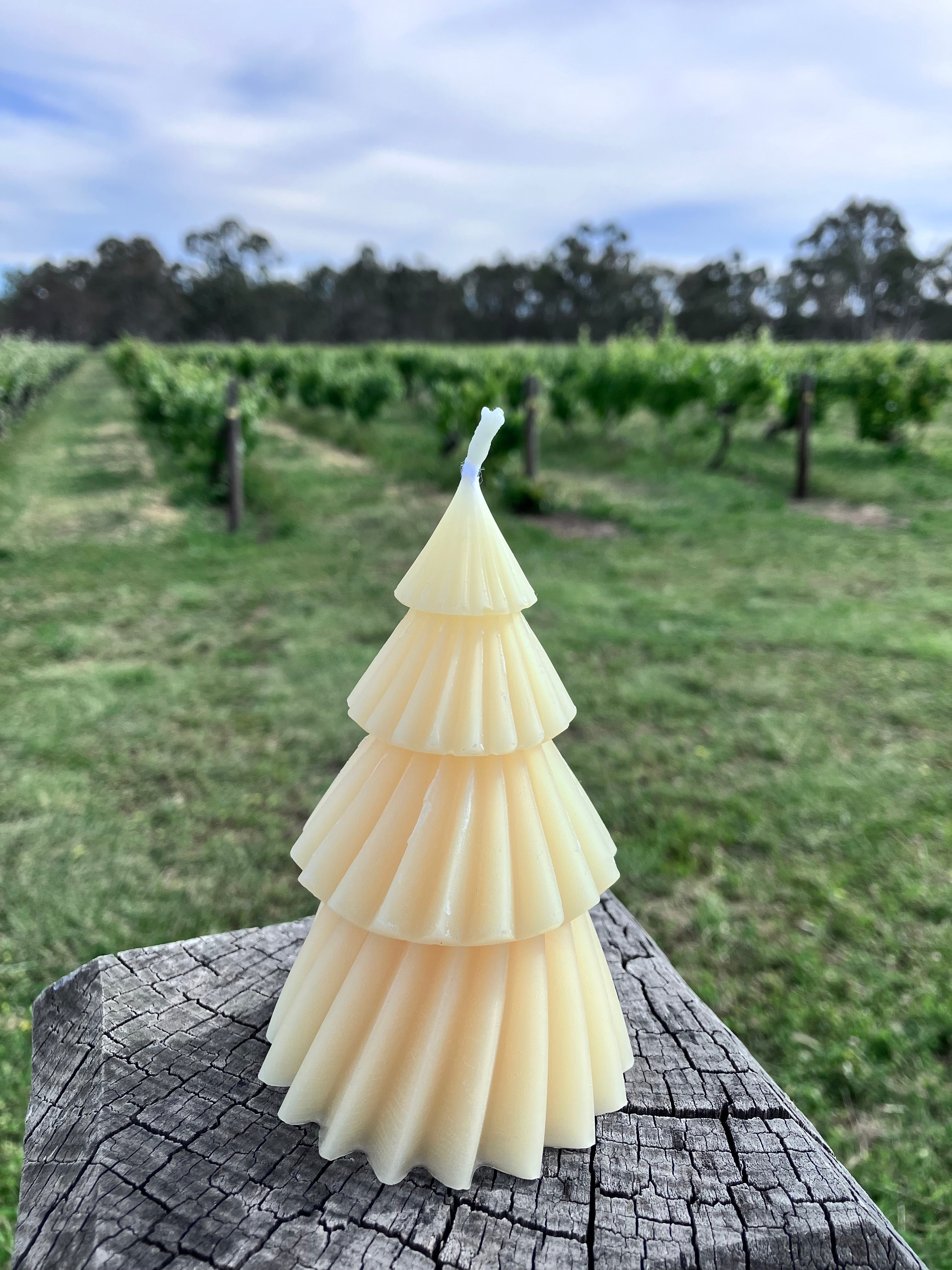 Beeswax Christmas Candles
