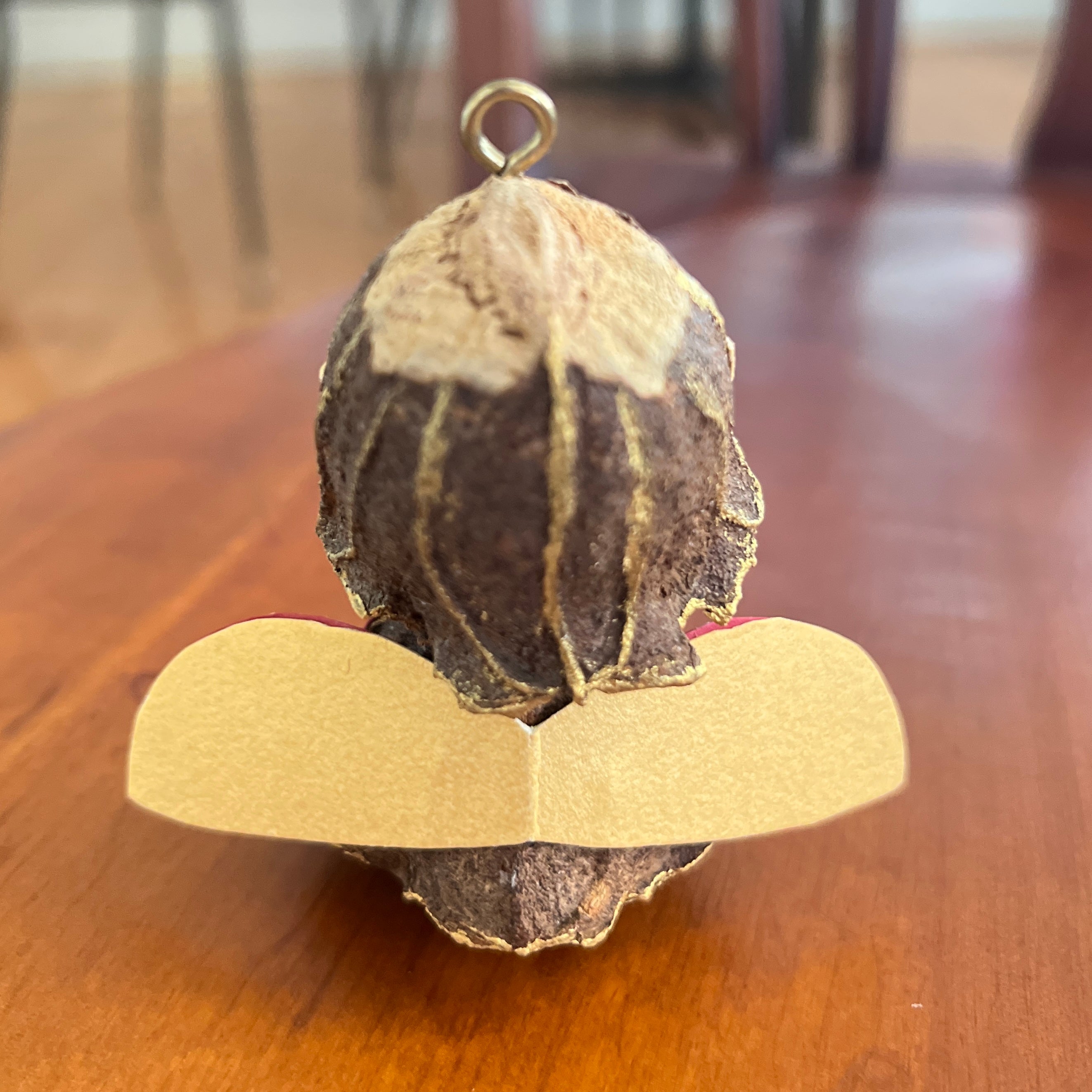 Handmade Gumnut Angel – A Tiny Guardian Full of Heart