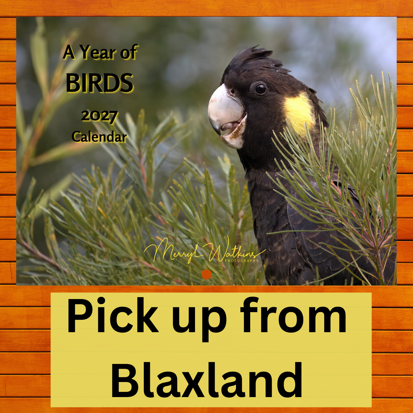 2027 Calendar - A Year of Birds - A4 Photographic Calendar