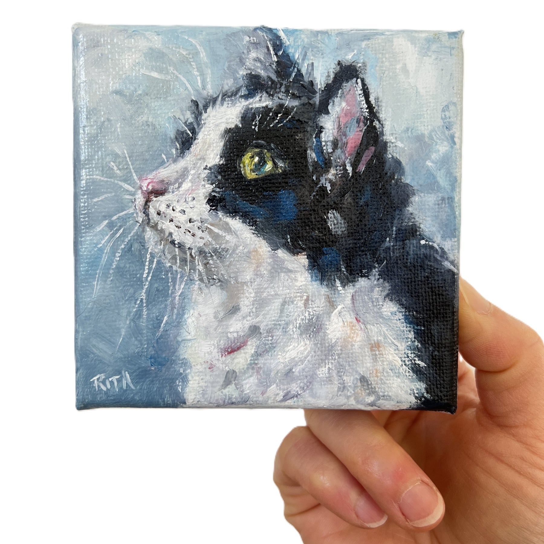 Little Observer | Original Mini Cat Oil Painting