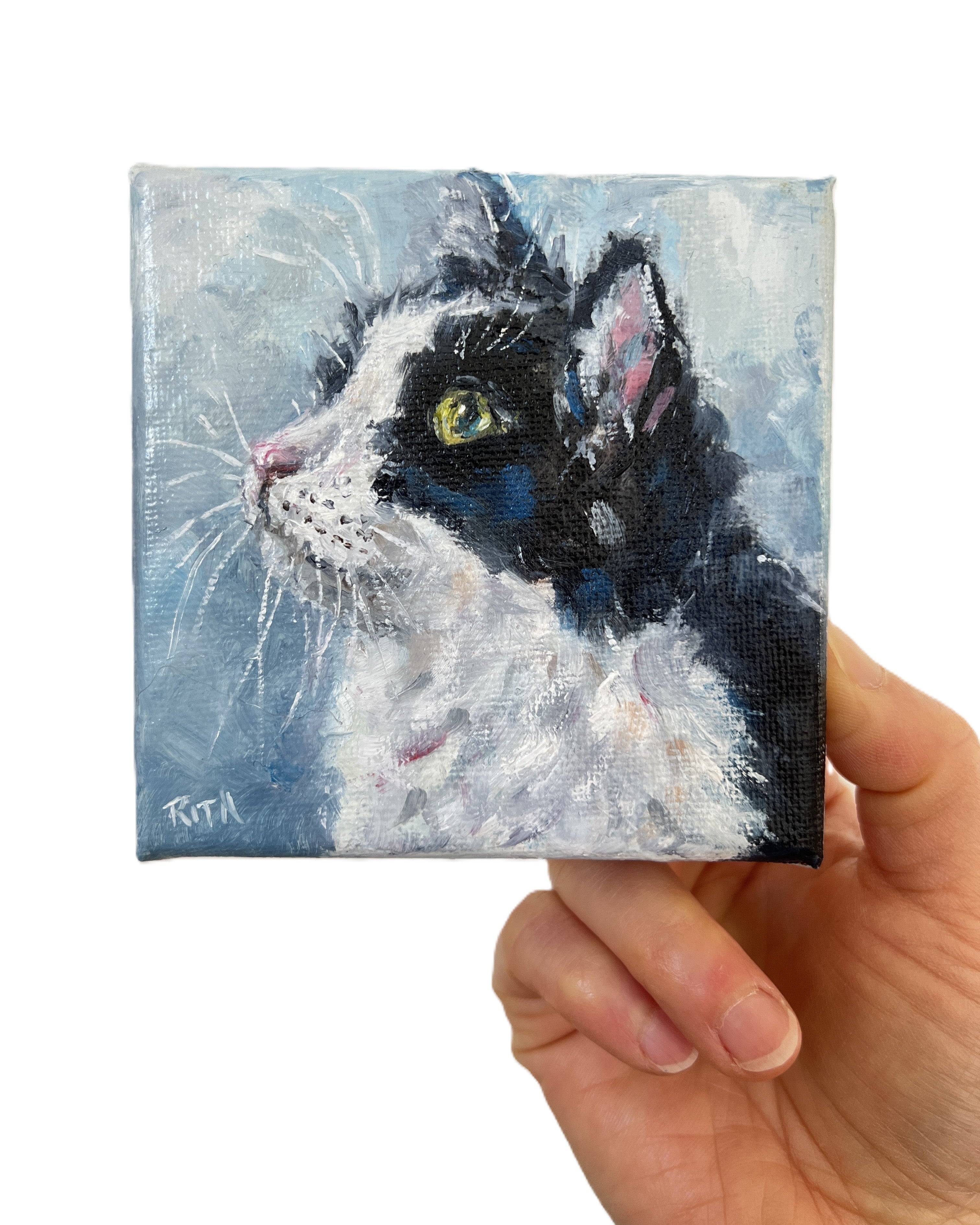 Little Observer | Original Mini Cat Oil Painting