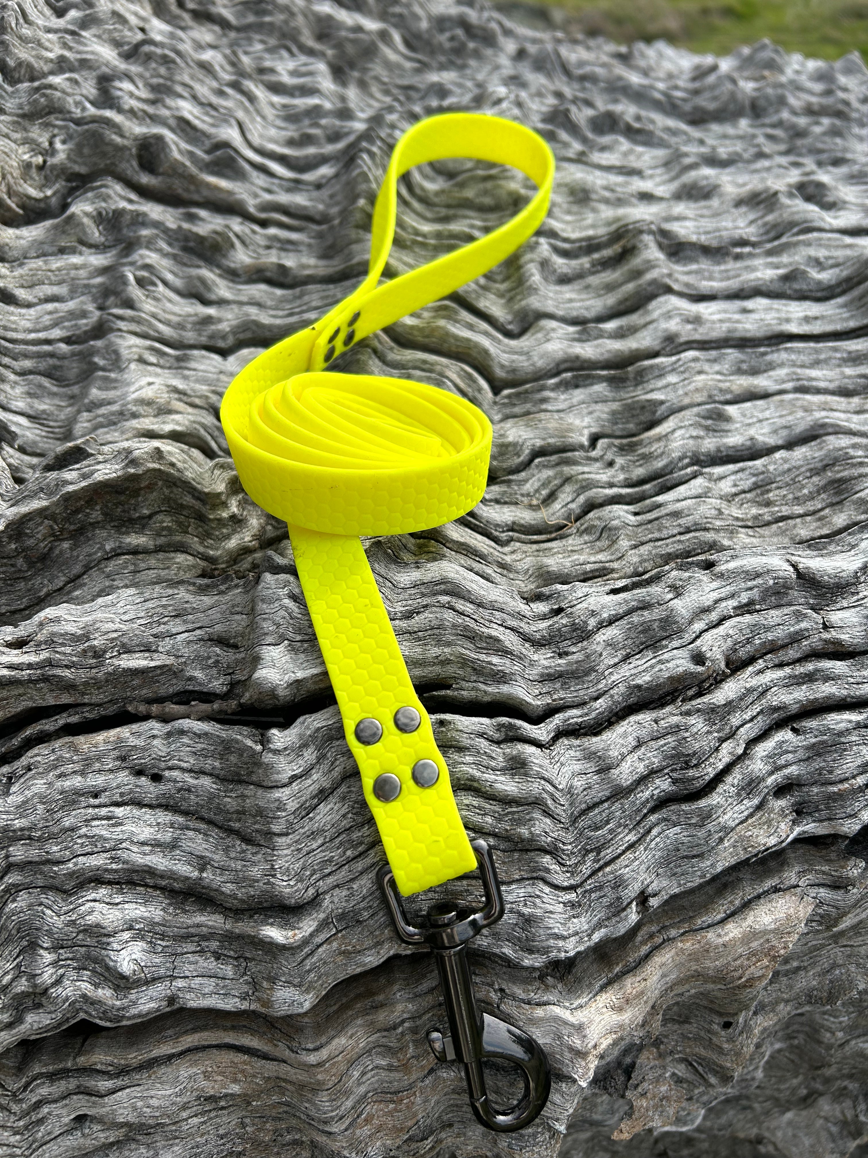 DOG LEAD LEASH WATERPROOF STRONG BRIGHT DURABLE