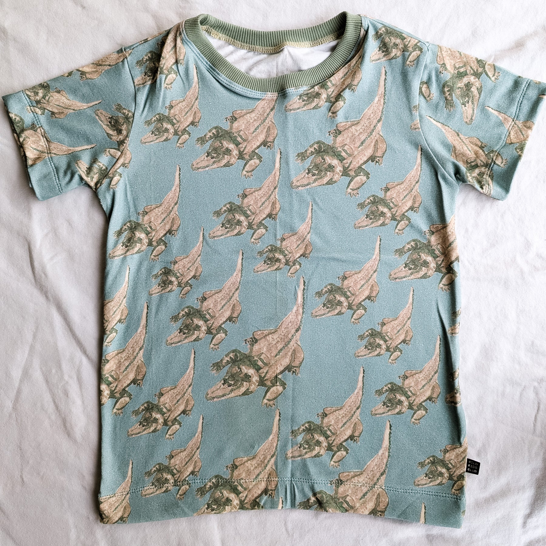Organic cotton tee shirts for kids in unique hand illustrated designs - sizes 4-9