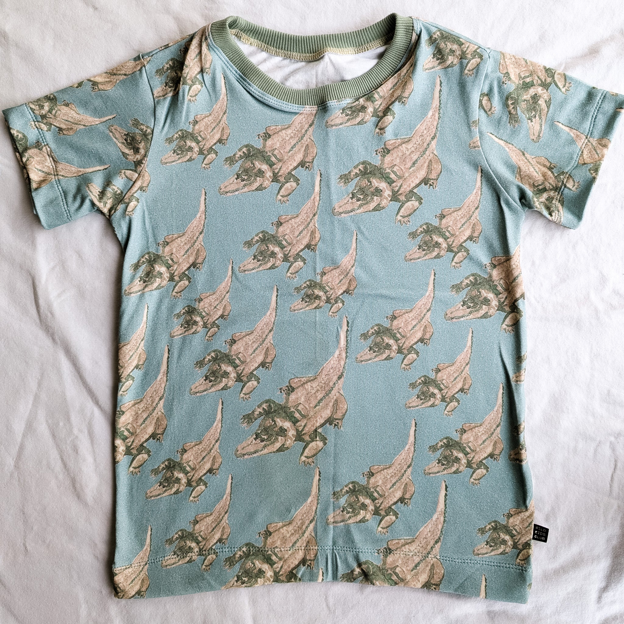 Organic cotton tee shirts for kids in unique hand illustrated designs - sizes 4-9