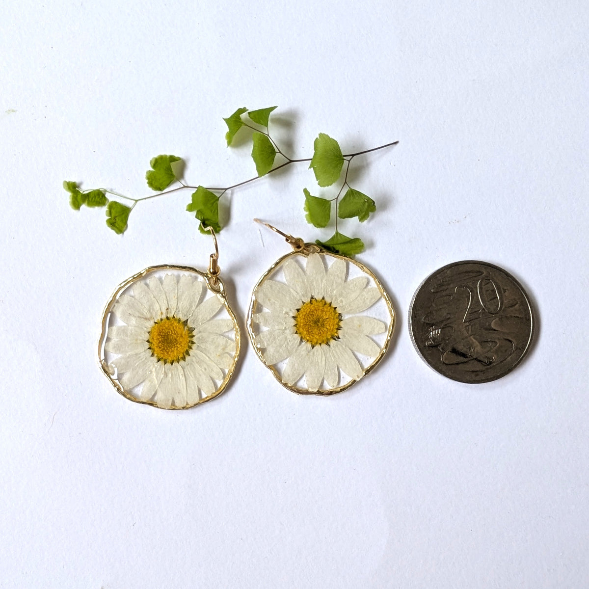 White daisies, real flowers, April birth flower