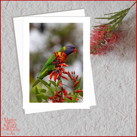 Blank Greeting Card - Rainbow Lorikeet