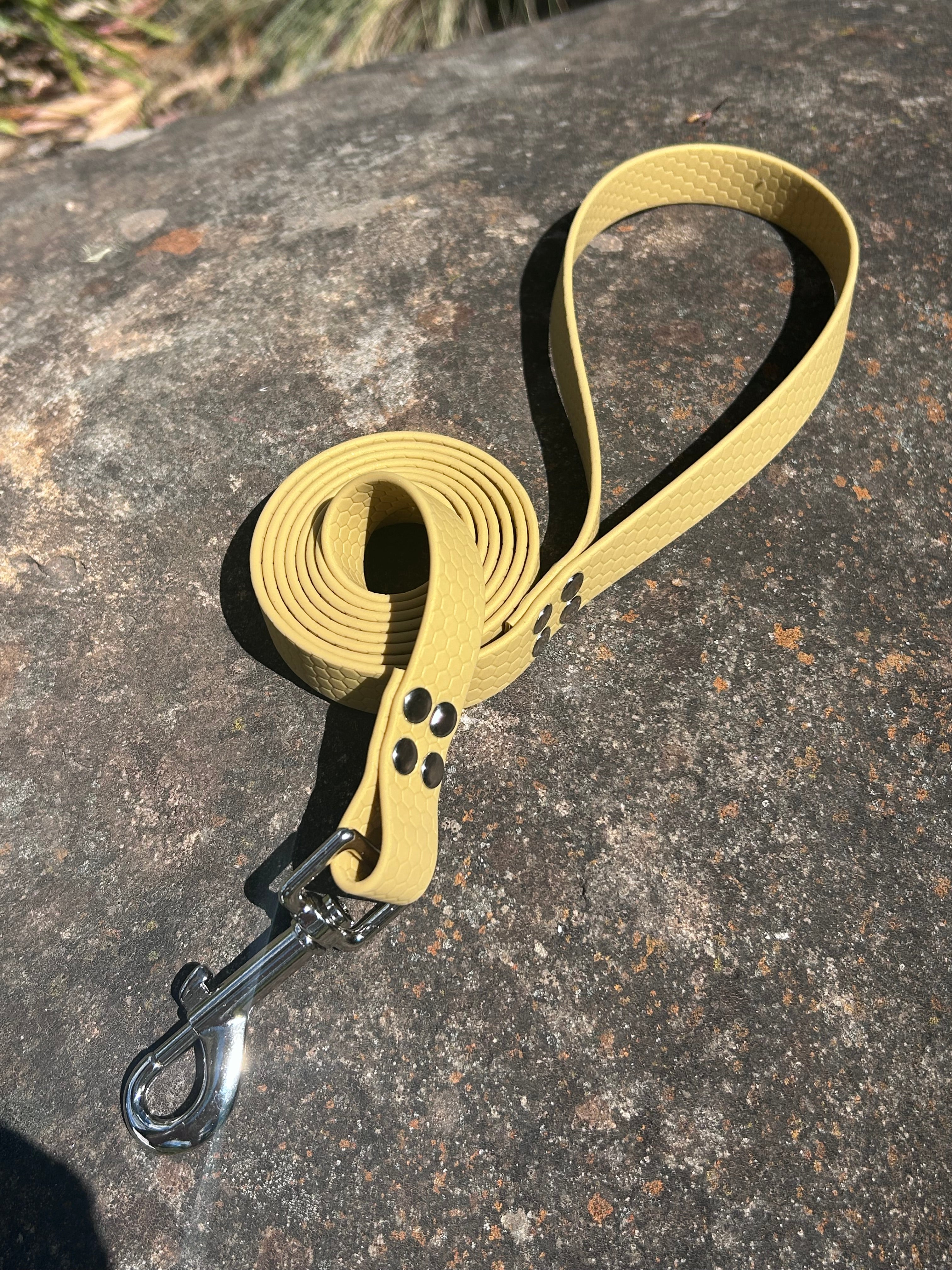 DOG LEAD LEASH WATERPROOF STRONG BRIGHT DURABLE