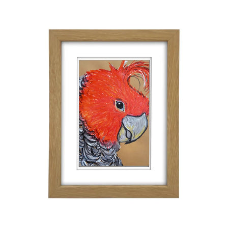 Gang Gang Cockatoo | Australian Native Bird | A6 Framed Print