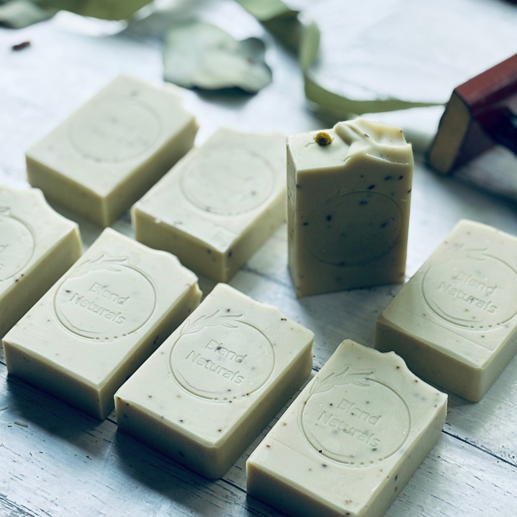 Rosemary Eucalyptus | Handcrafted Natural Soap Bar