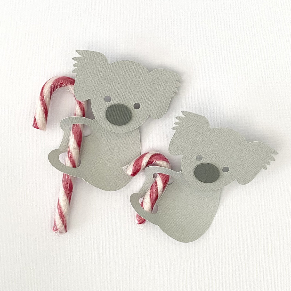 Koala Christmas Candy Cane holder. Class gifts, Xmas party. Holder only.