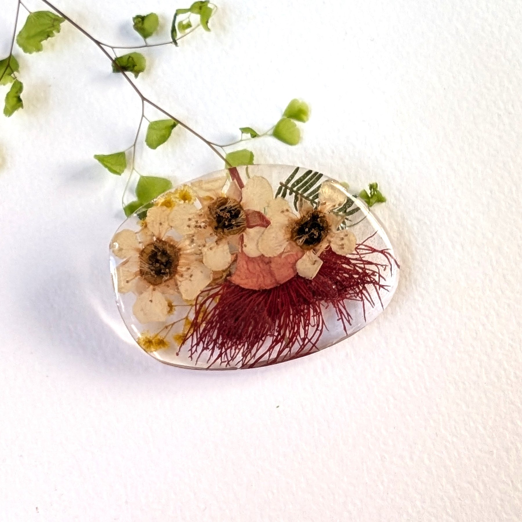 Real Australian Native Flowering Gum Wattle Brooch
