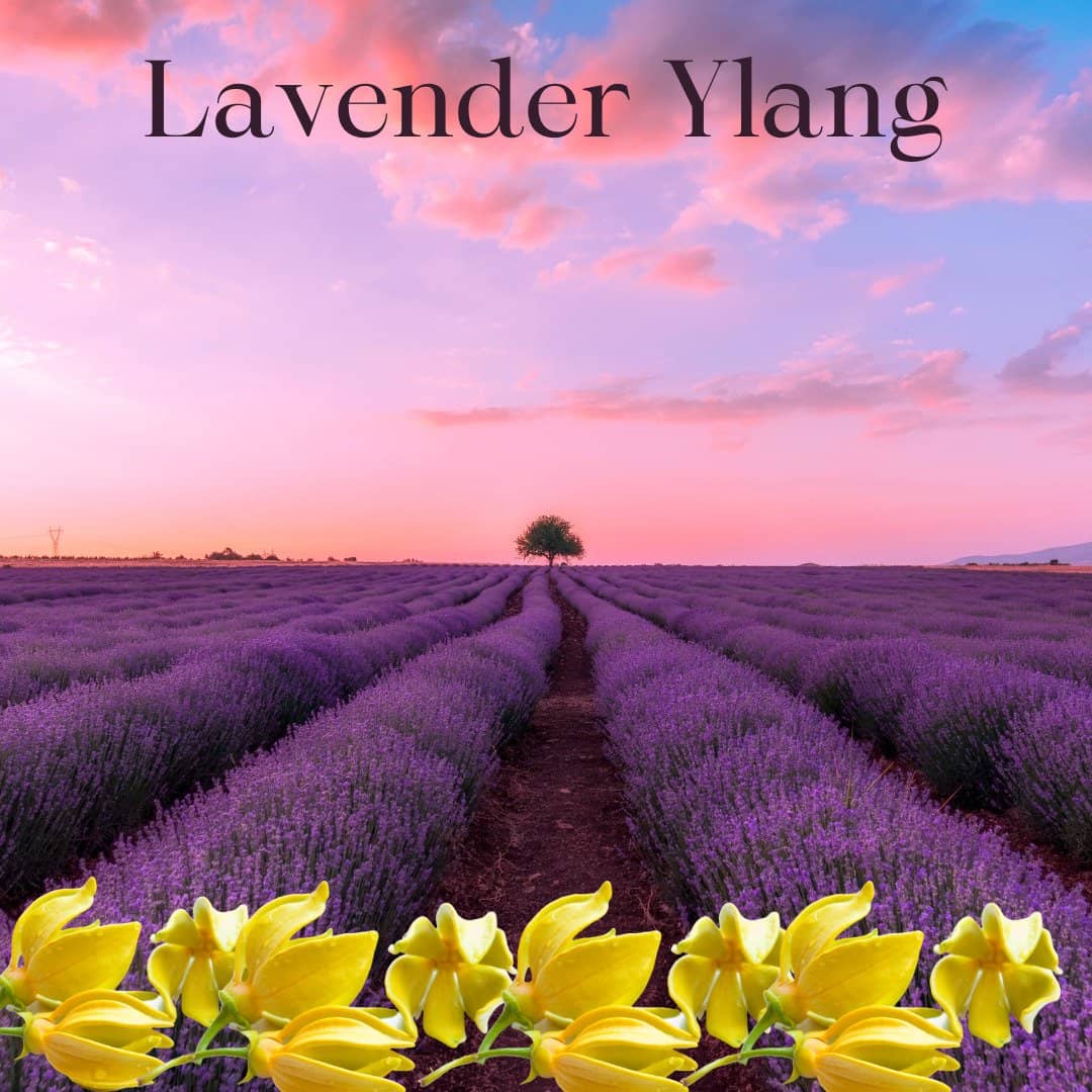Lavender Ylang Ylang Rubywood Laundry Booster