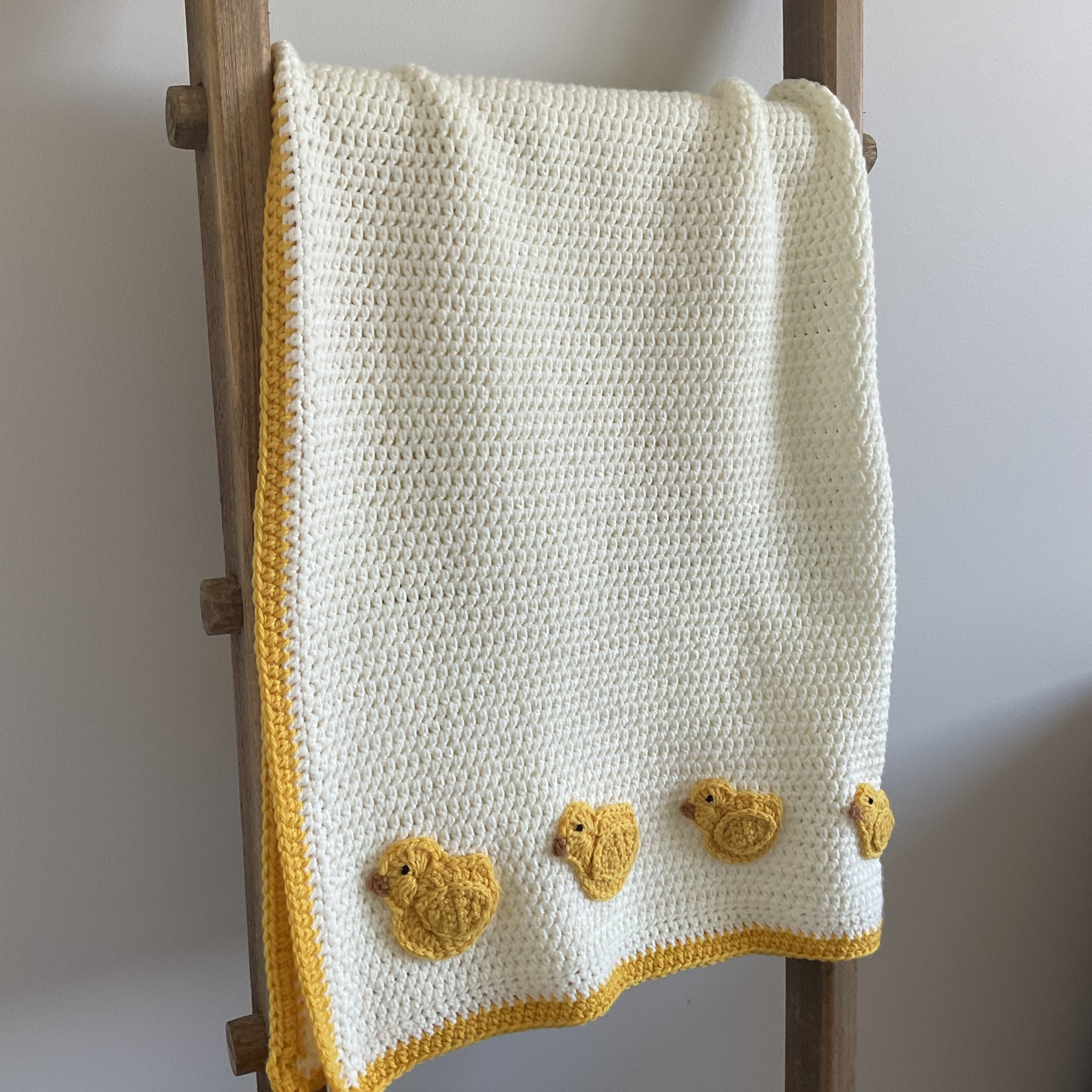 Just 5 Little Ducks Baby Blanket