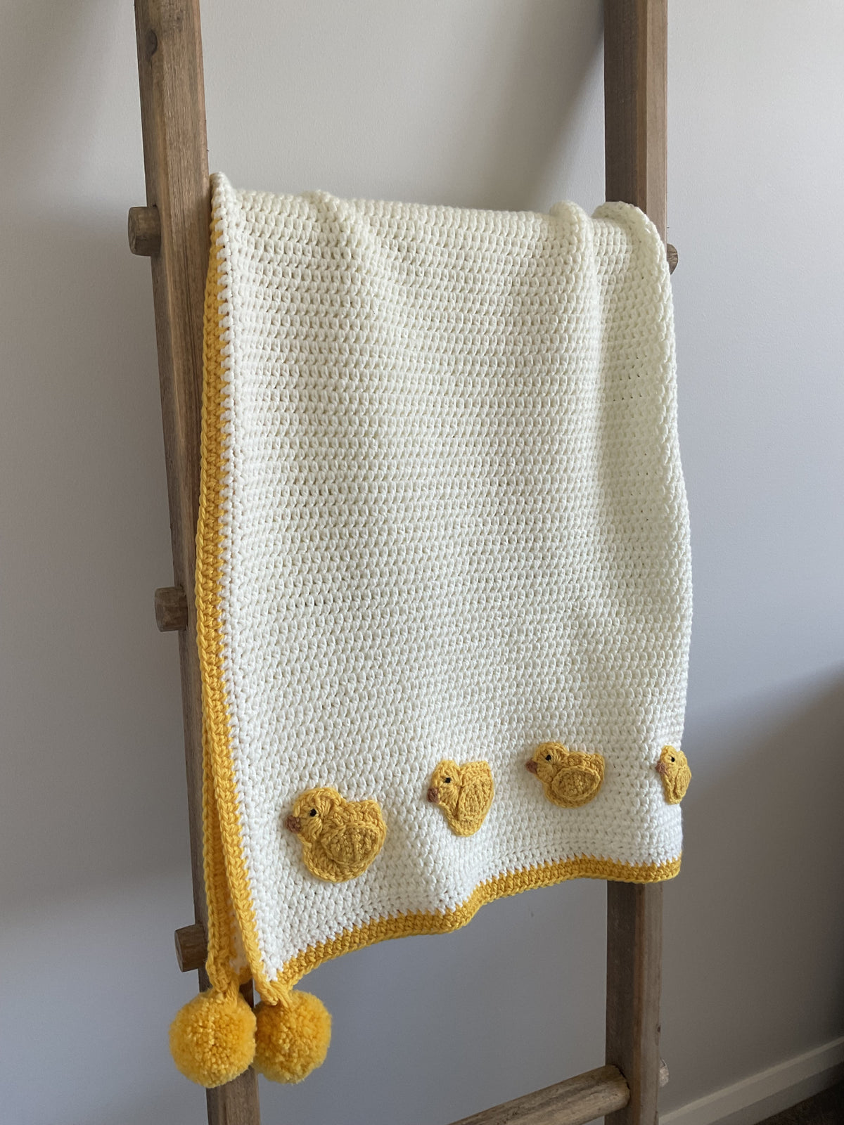 Just 5 Little Ducks Baby Blanket