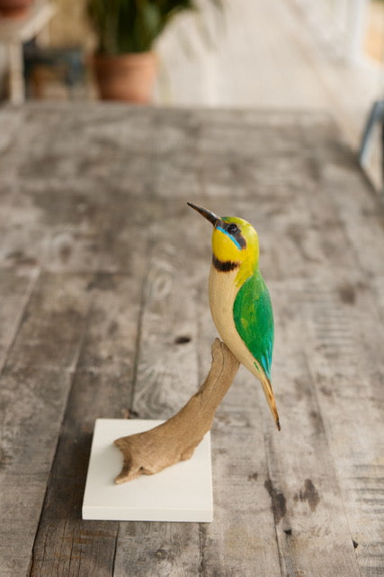 Hand carved Rainbow Bee-eater sculpture