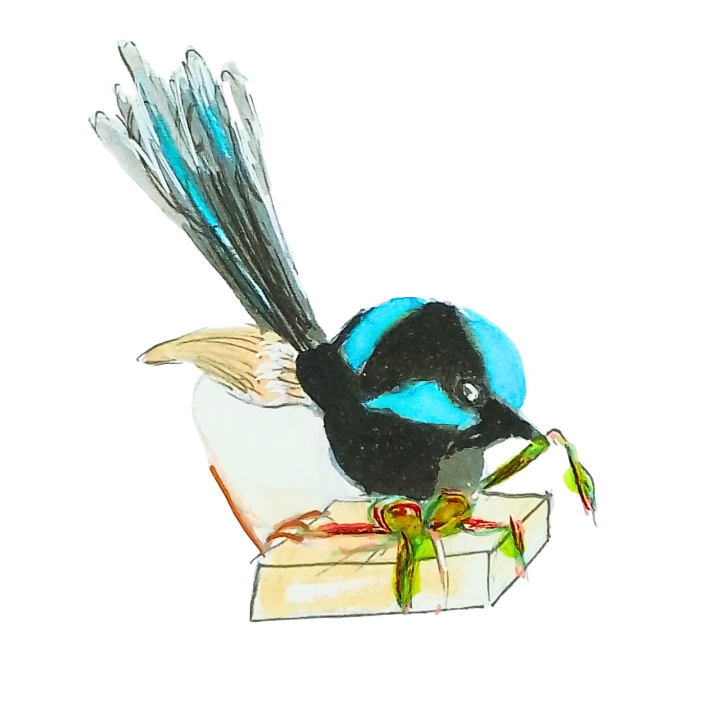 Blue Wren Unique Christmas Cards - 4 designs