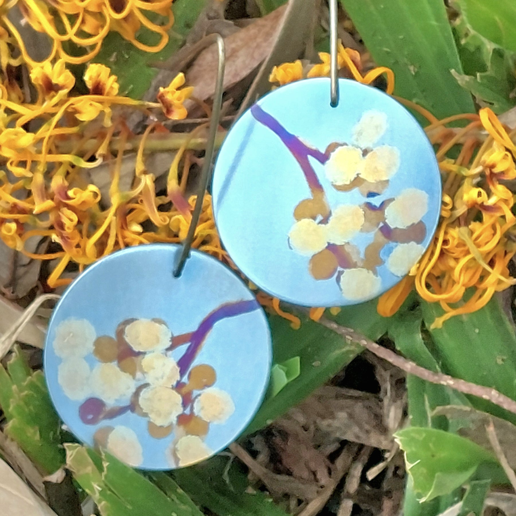 Titanium Disc Earrings with Wattle Design- Sky Blue, Yellow, Gold, Bronze