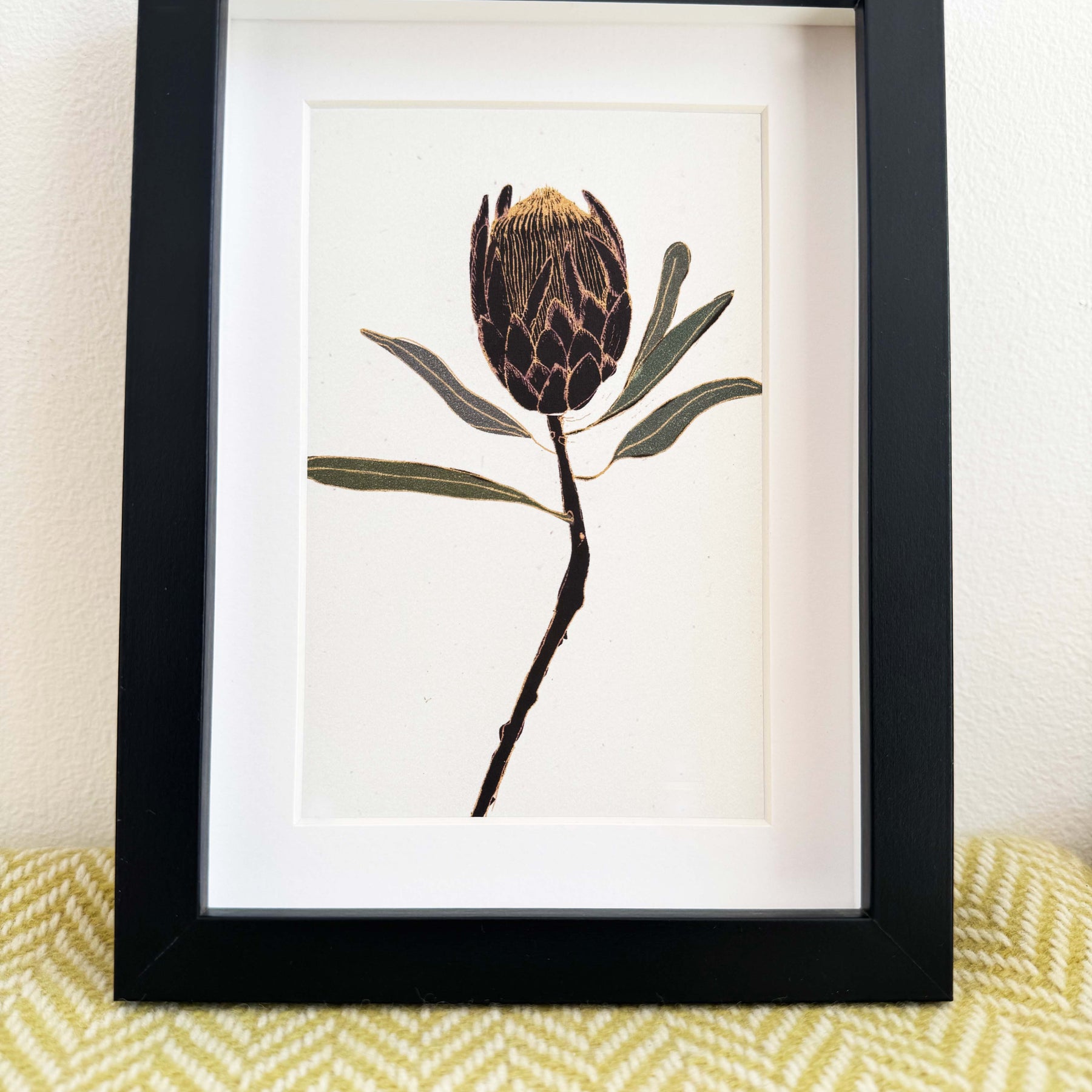 Protea print - black frame with inset included (13 x 18cm)