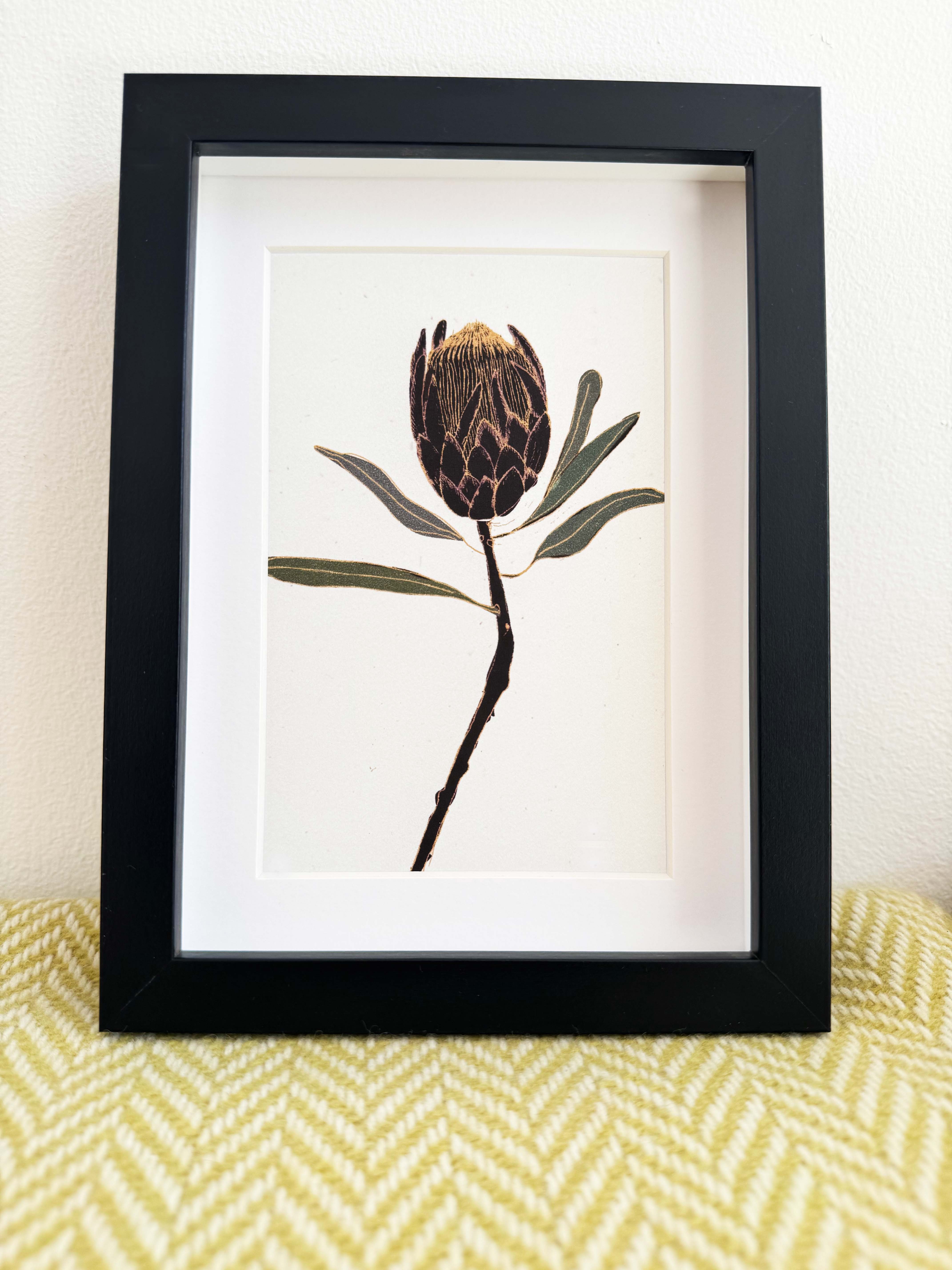 Protea print - black frame with inset included (13 x 18cm)