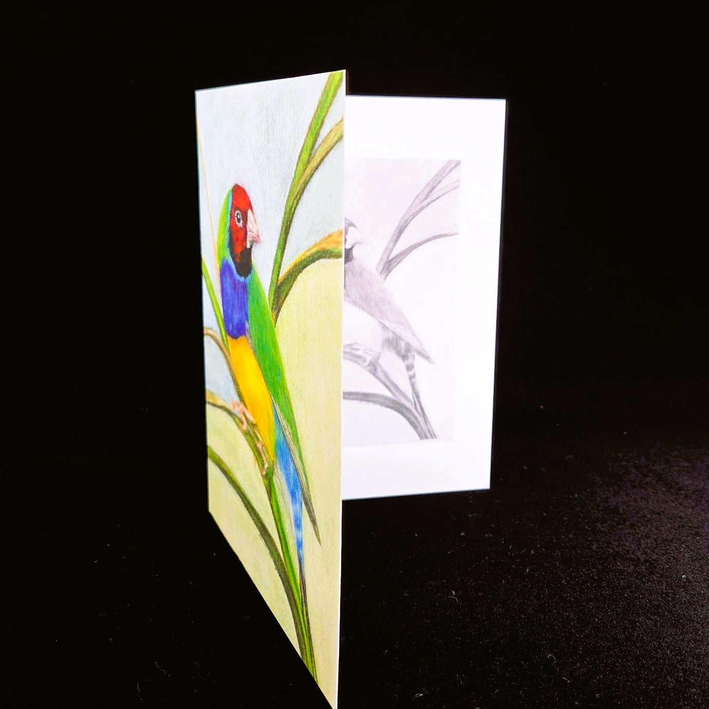 Gouldian Finch Greeting Card (blank inside)- 5cm x 7cm (127mm x 178mm)