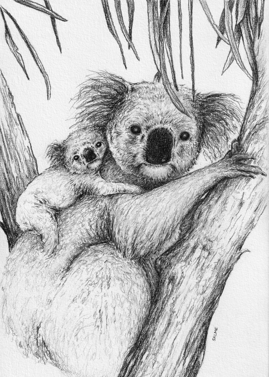 Koala Mother and Joey | Hand Drawn Original Artwork