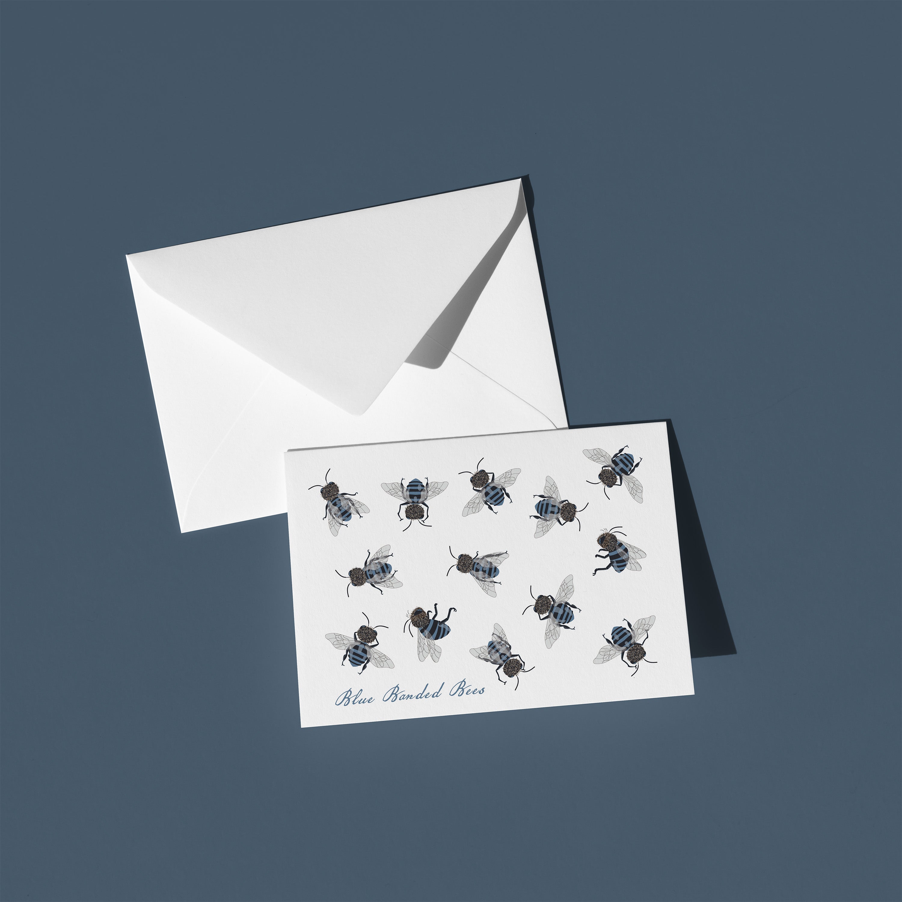 Australian Blue Banded Bee Blank Greeting Card